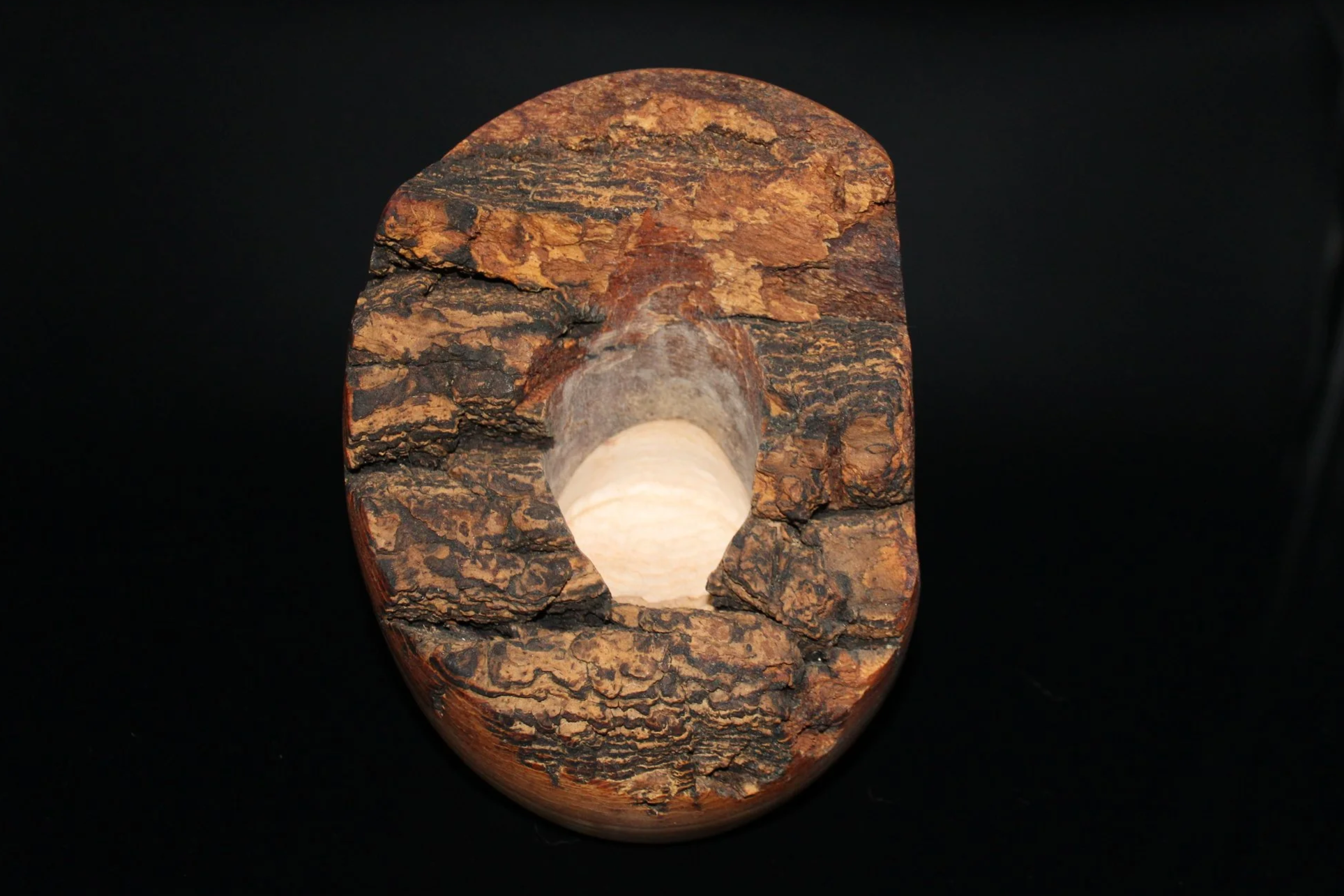Egg Shaped Elm Pot with Live Edge