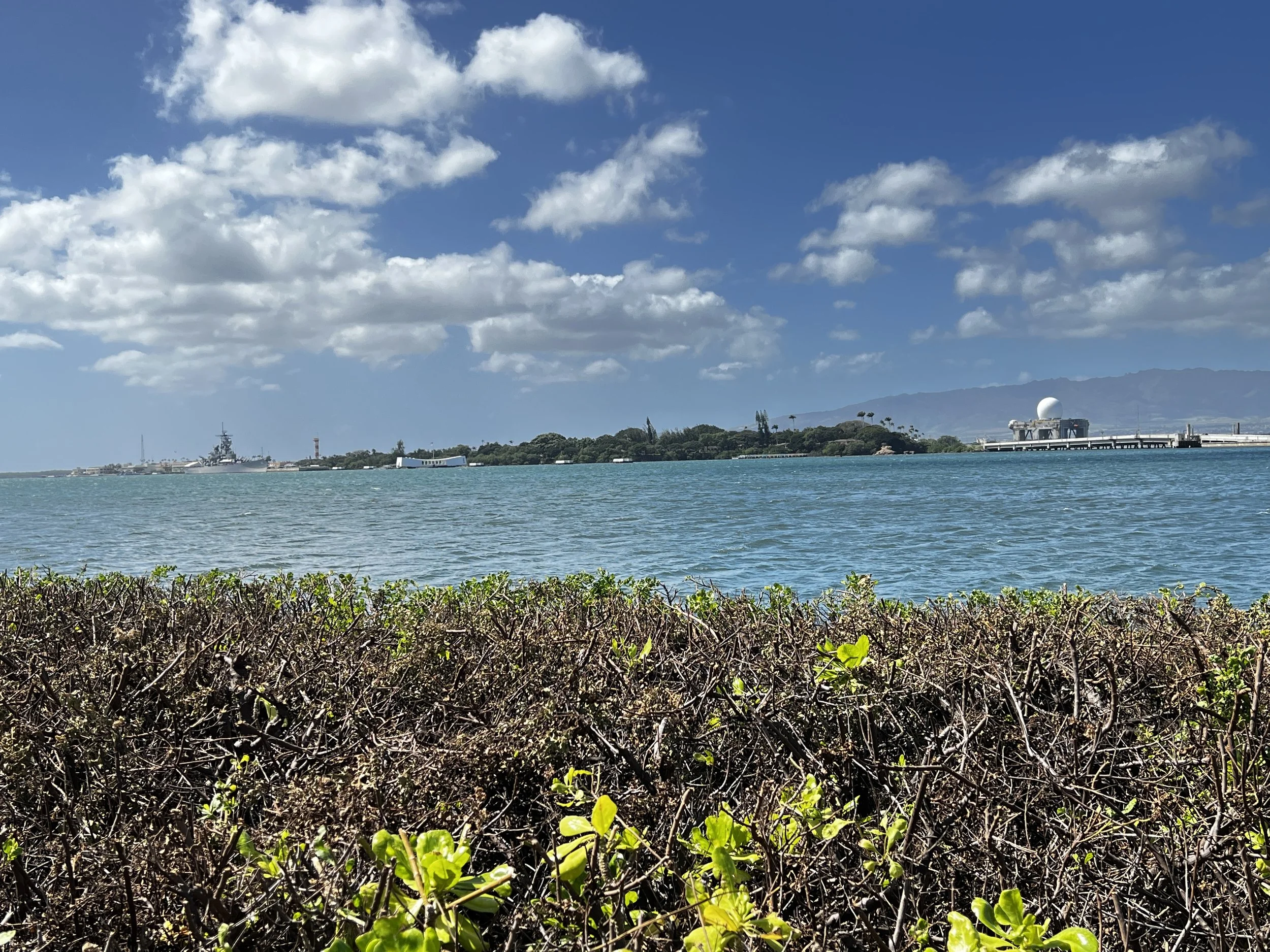 80E079B5-9C4B-4924-B812-7377230D581B.jpeg