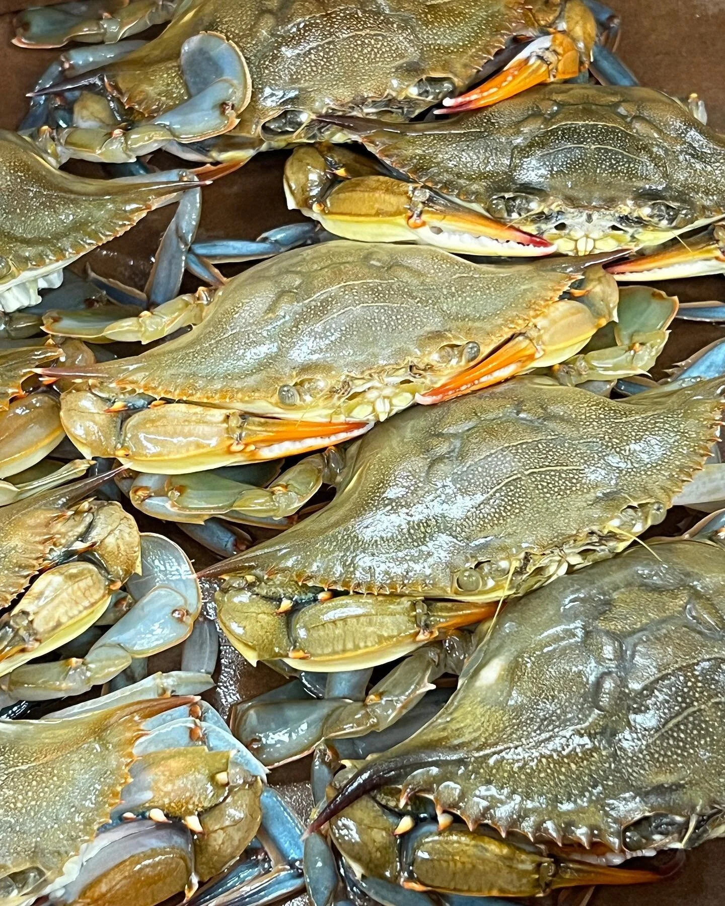 Kill Devil Hills for crab legs and clams. Fresh!