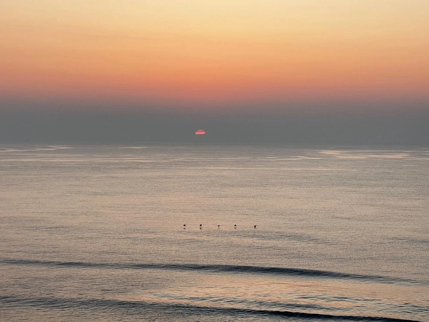 Not often do I get to catch the sunrise over the ocean. ❤️