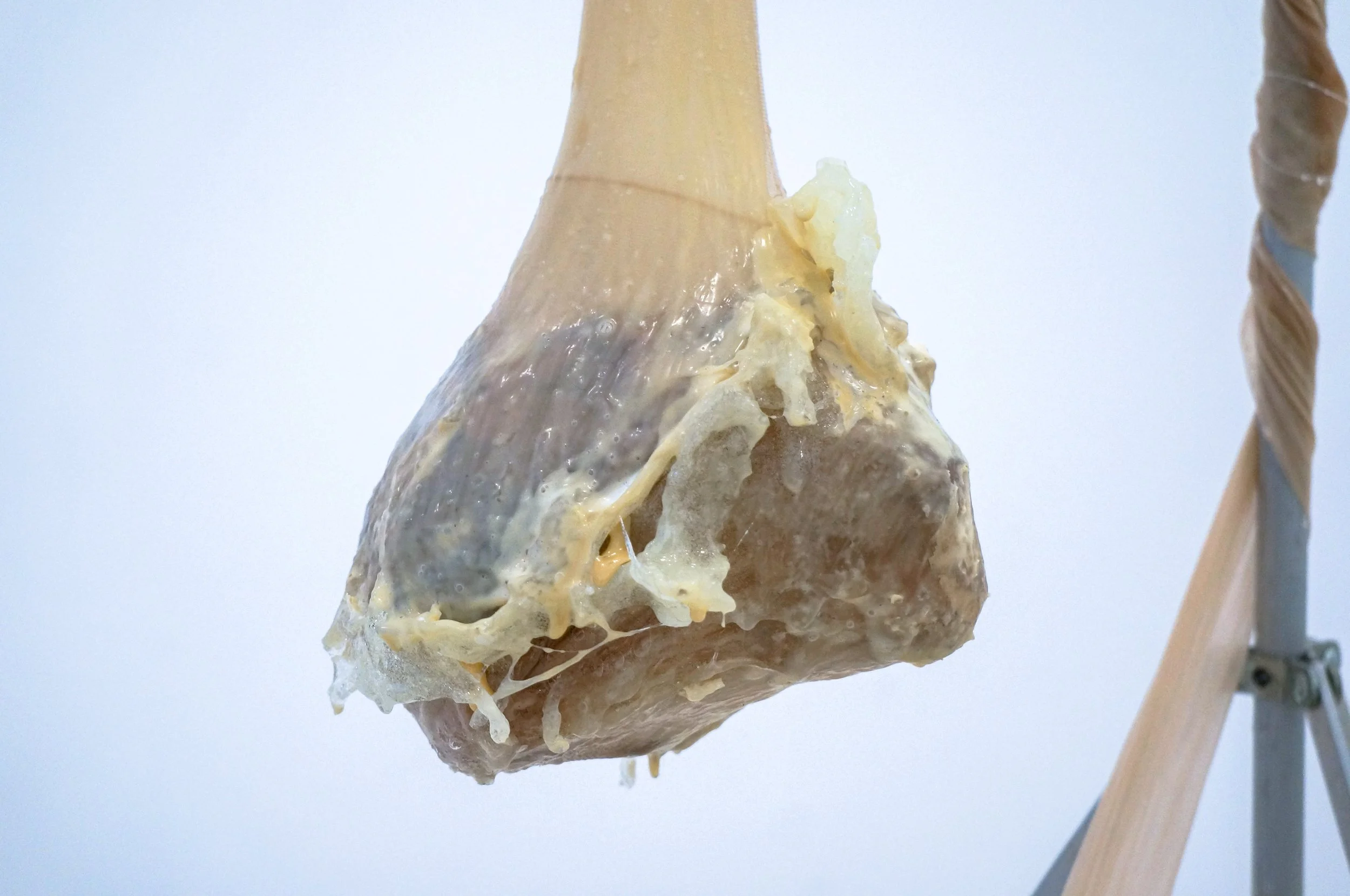 straight from my throat, my pancreas, my uterus