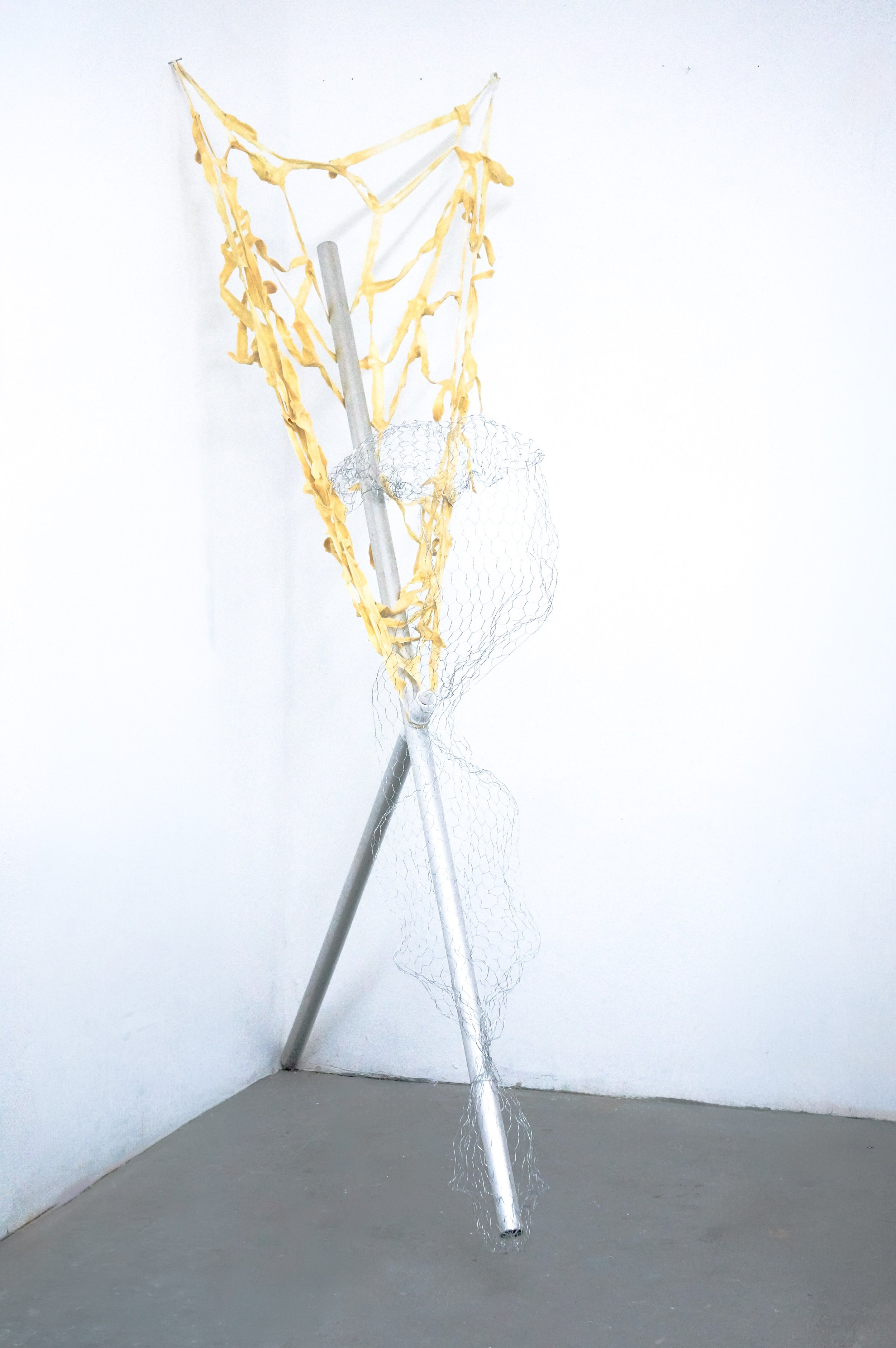 DSC07885-Edit.jpg
