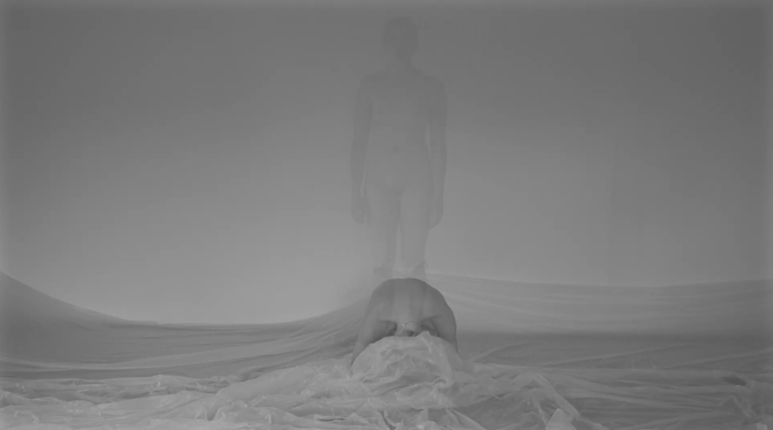 vernix
