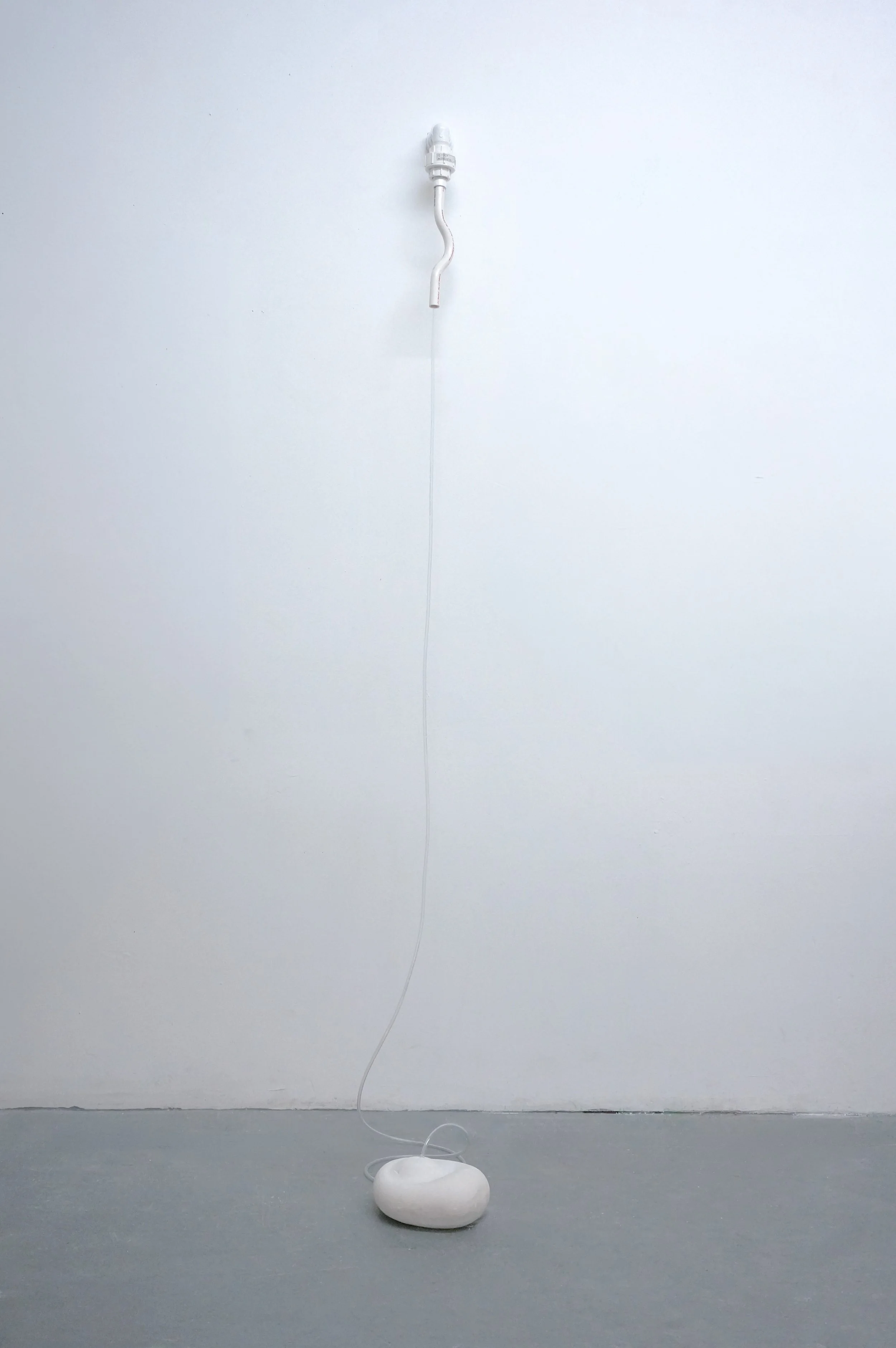 DSC06657-Edit.jpg