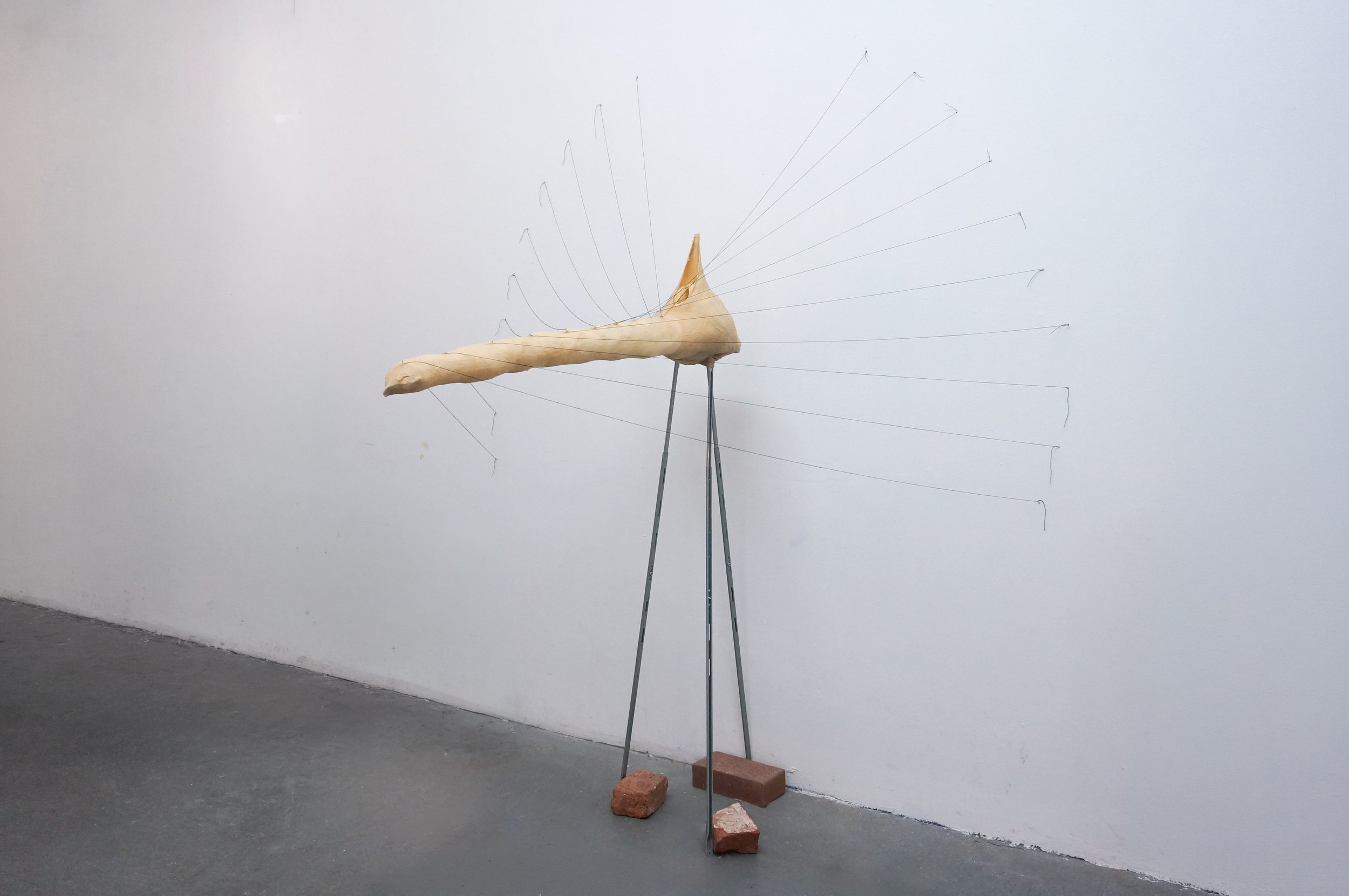 DSC06617-Edit.jpg