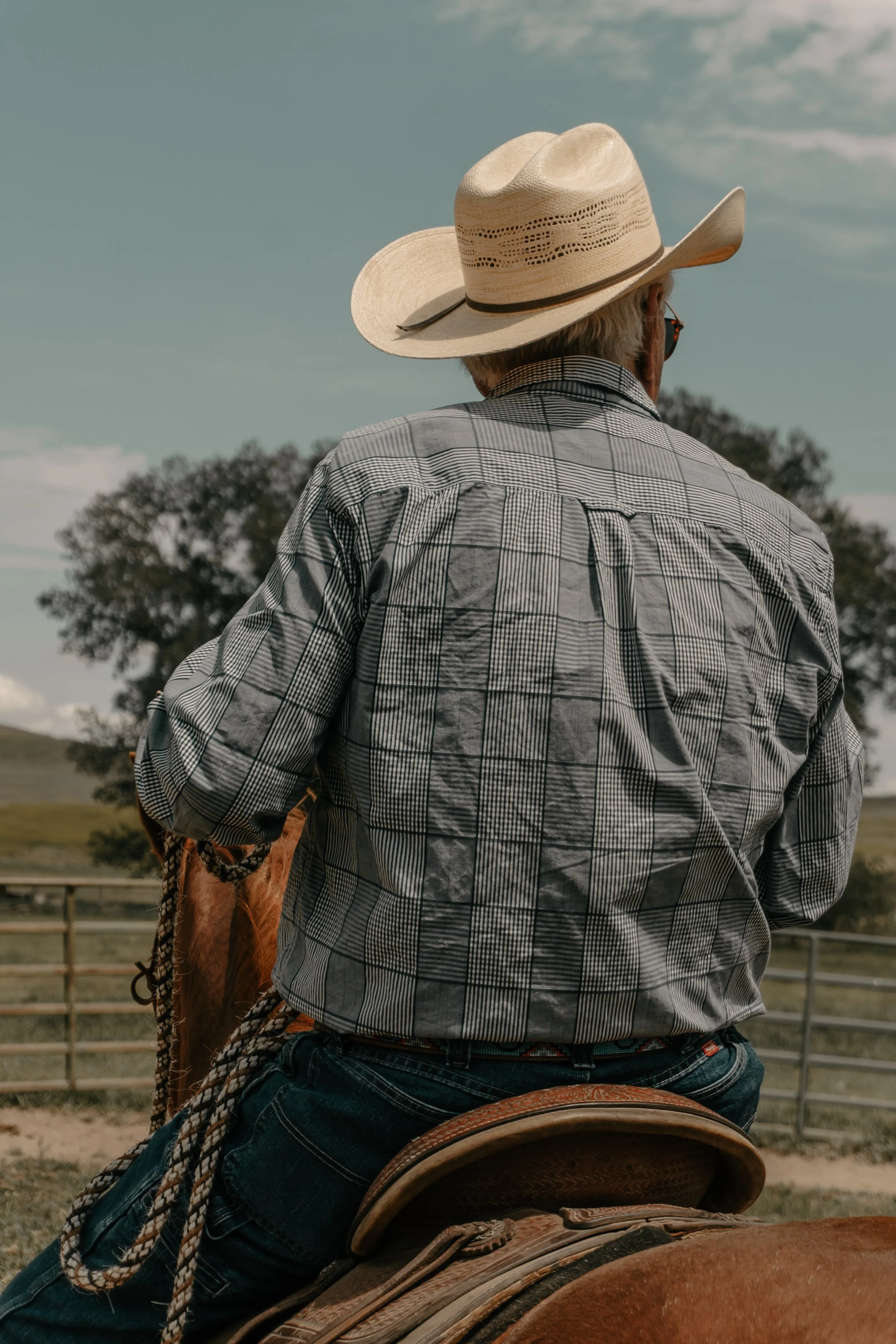 A man riding a horse wearing a wide-brimmed cowboy hat, a plaid shirt, and jeans, facing away outdoors with trees and a fence in the background. TA Ranch, guest ranch, dude ranch, working cattle ranch, horse ranch, horseback riding, Buffalo Wyoming