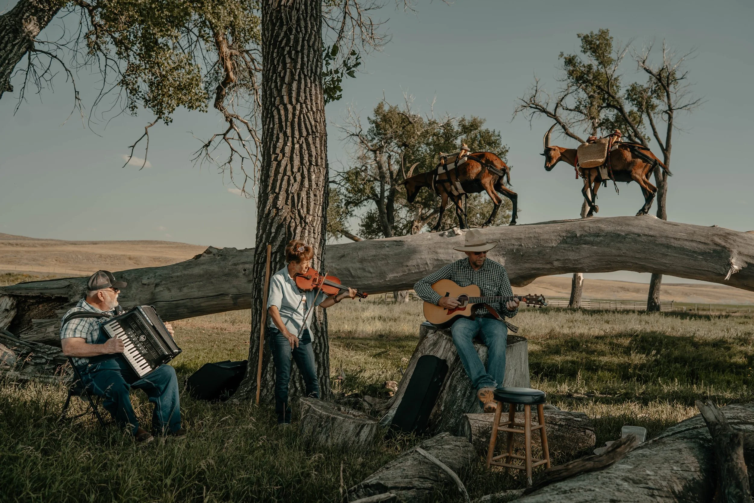 BonafideCowboy