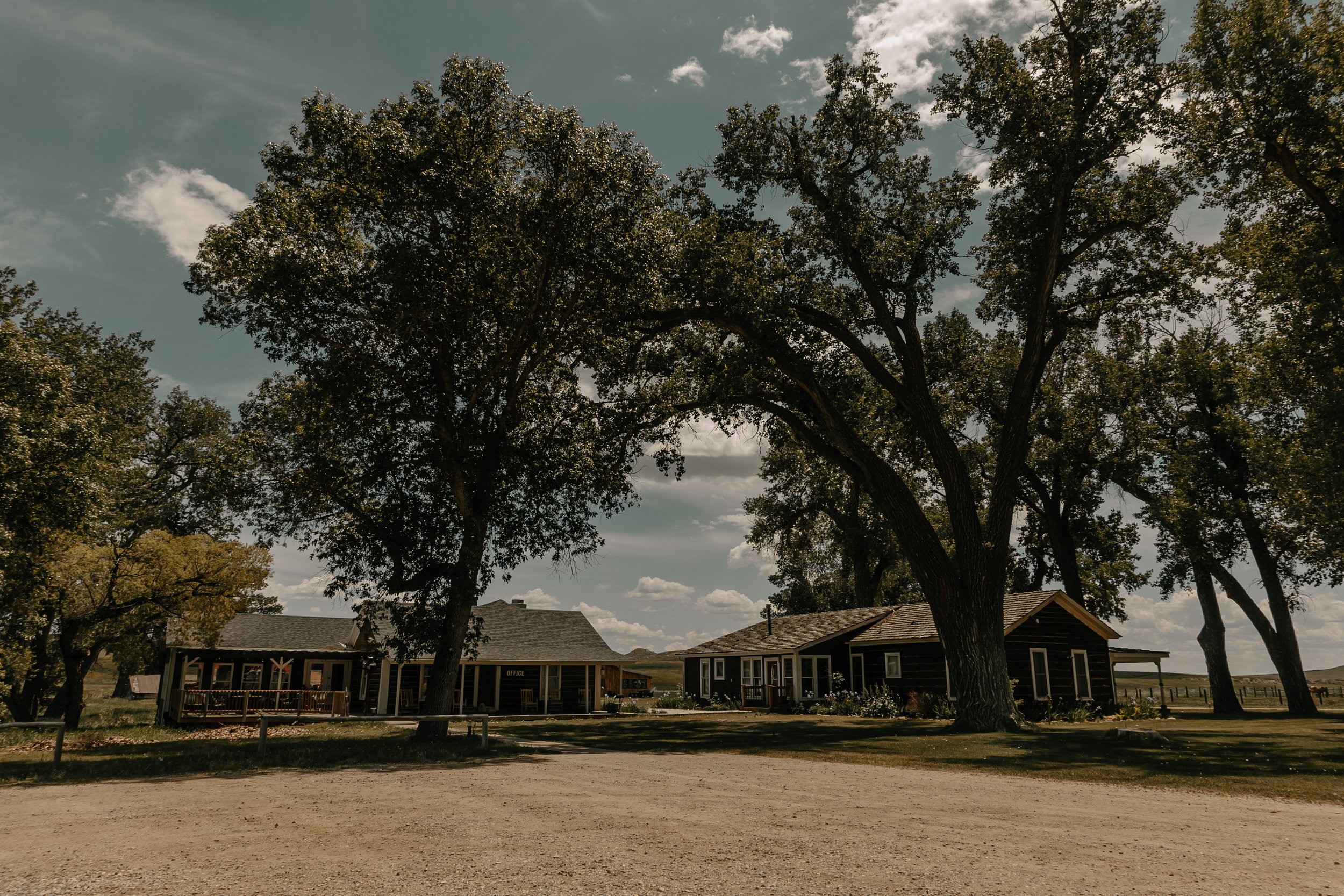 Two rustic wooden buildings with porches are situated beneath tall trees on a dirt area, in a rural setting with a partly cloudy sky. TA Ranch, guest ranch, dude ranch, working cattle ranch, horse ranch, horseback riding, Buffalo Wyoming, agriculture