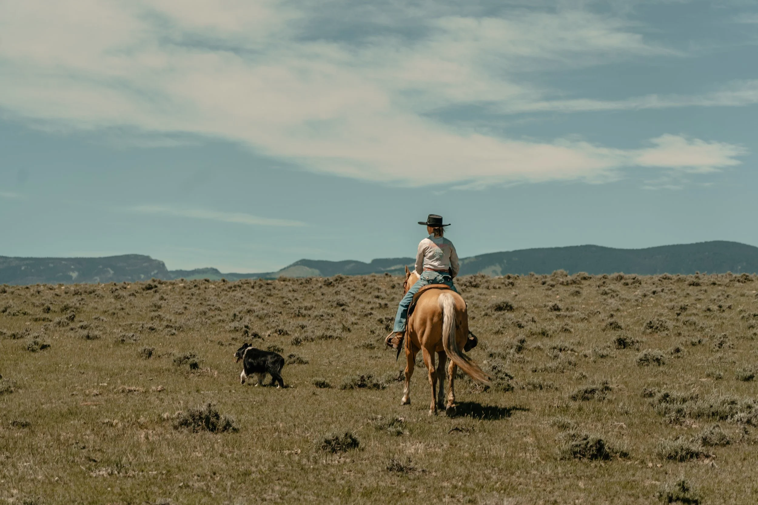 Person riding a horse across a grassy plain with a dog walking nearby under a cloudy sky. TA Ranch, guest ranch, dude ranch, working cattle ranch, horse ranch, horseback riding, Buffalo Wyoming North-eastern Wyoming, homestead, agriculture.