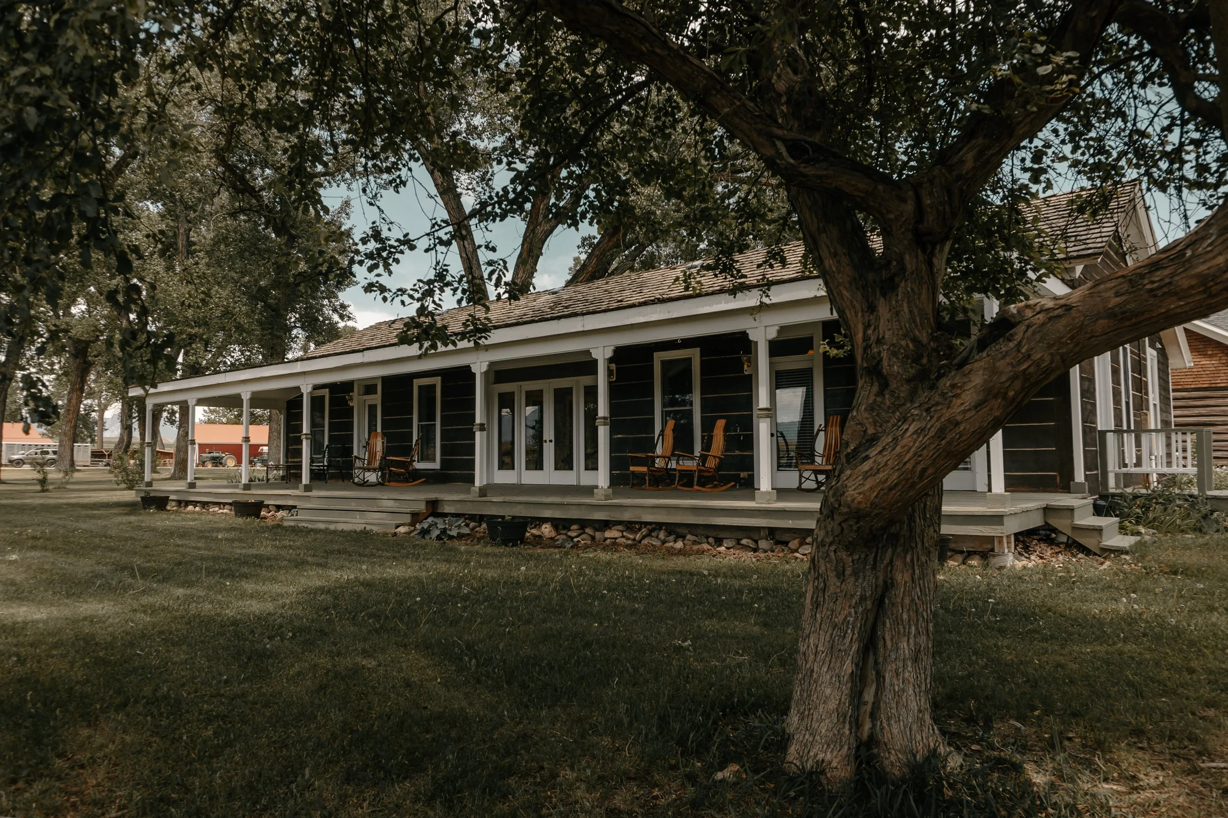 A large, dark-colored house with a wrap-around porch, wooden rocking chairs, and a large tree in the front yard. TA Ranch, guest ranch, dude ranch, working cattle ranch, horse ranch, horseback riding, Buffalo Wyoming North-eastern Wyoming, homestead.