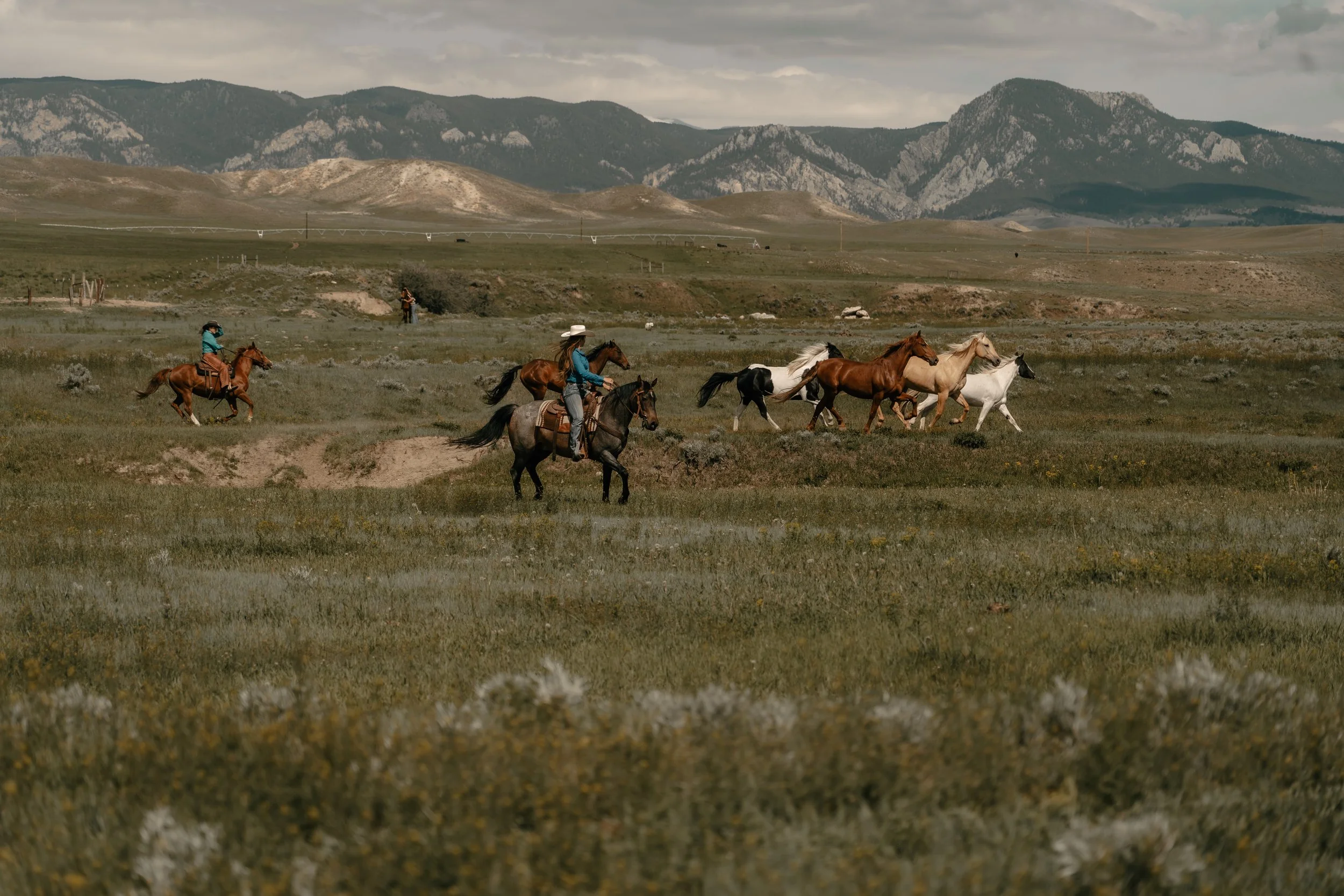 Group of people riding horses through a grassy plain with mountains in the background during daytime.
