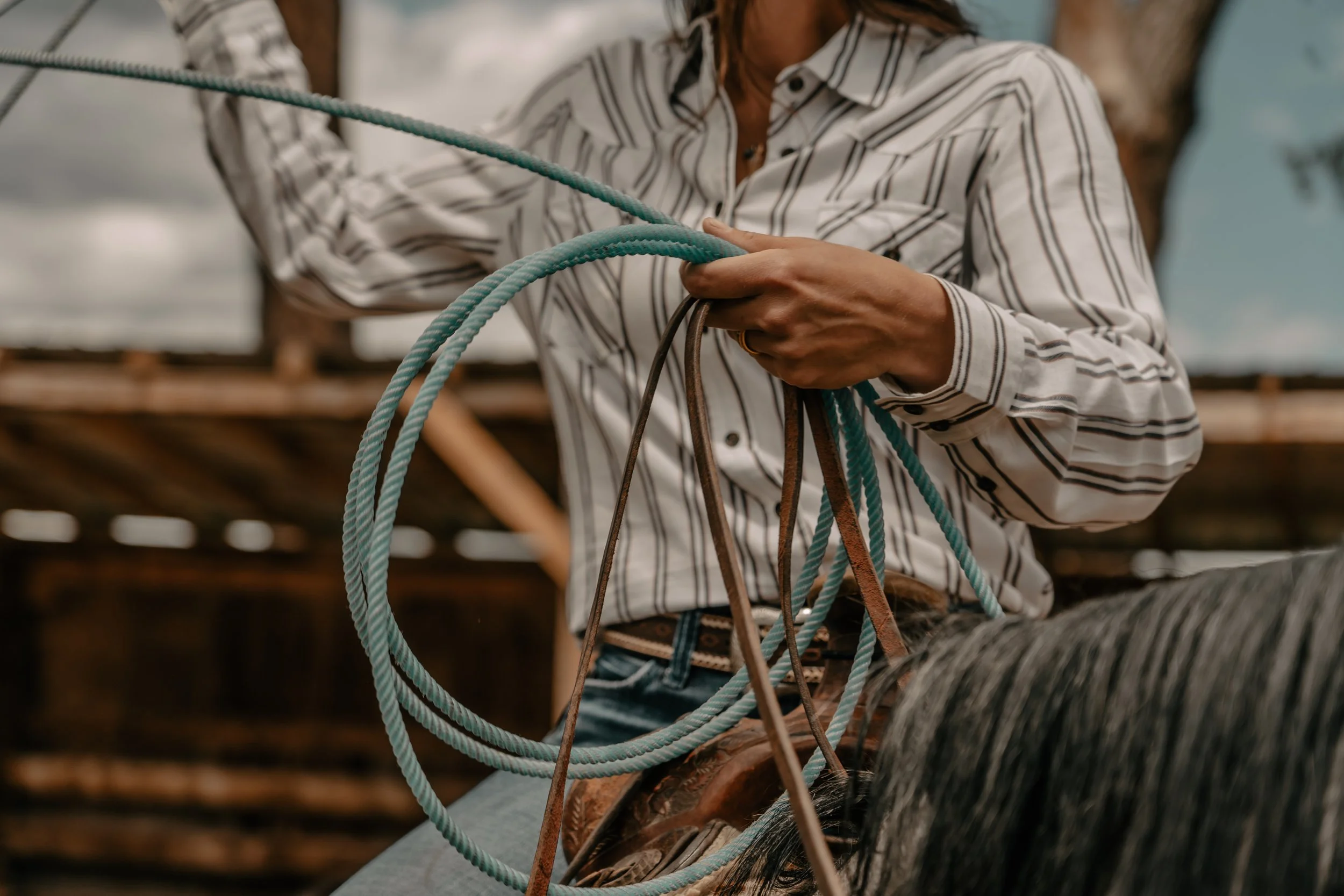 A woman wearing a striped button-up shirt holding and organizing blue and brown leather riding reins on a horse. TA Ranch, guest ranch, dude ranch, working cattle ranch, horse ranch, horseback riding, Buffalo Wyoming North-eastern Wyoming, homestead,