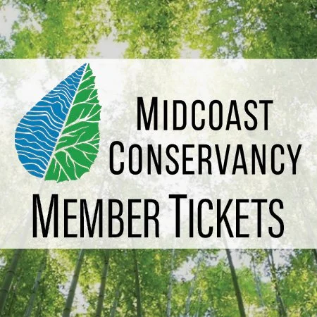Forest Bathing April 6 – Midcoast Conservancy Members