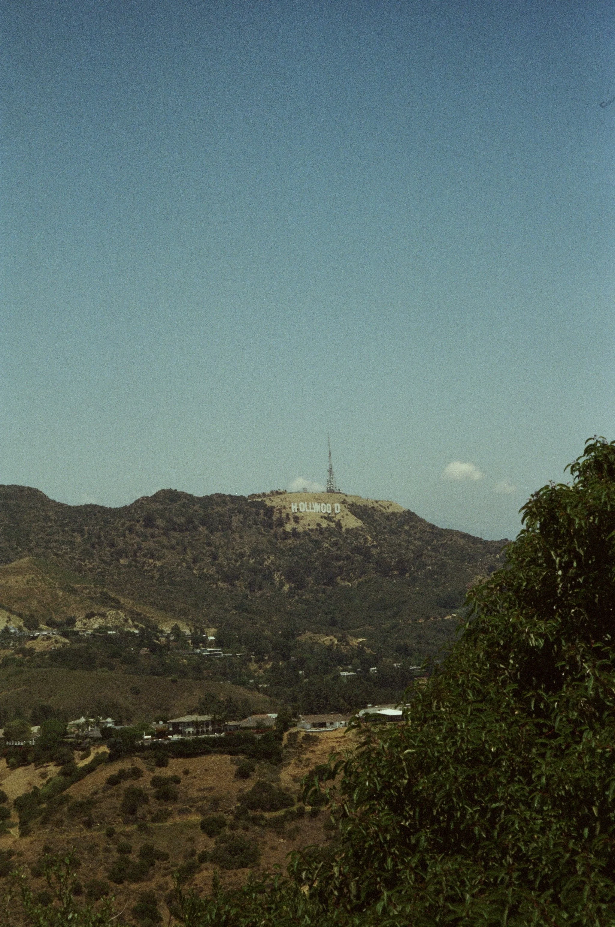 IMG_2289.jpeg