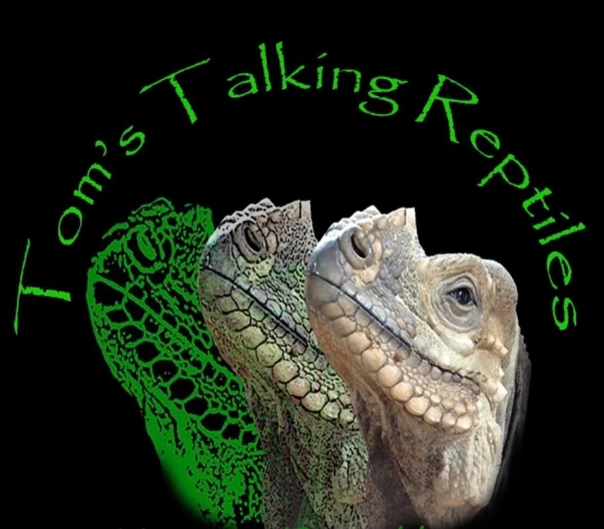 🦎🐍 Special Guest Alert! 🐍🦎

We&rsquo;re so excited to welcome @tomstalkingreptiles to our Easter Holiday Clubs for a wild morning of amazing reptiles! 🤩

Get ready to see, hold, and even stroke some incredible creatures up close&hellip; it&rsquo
