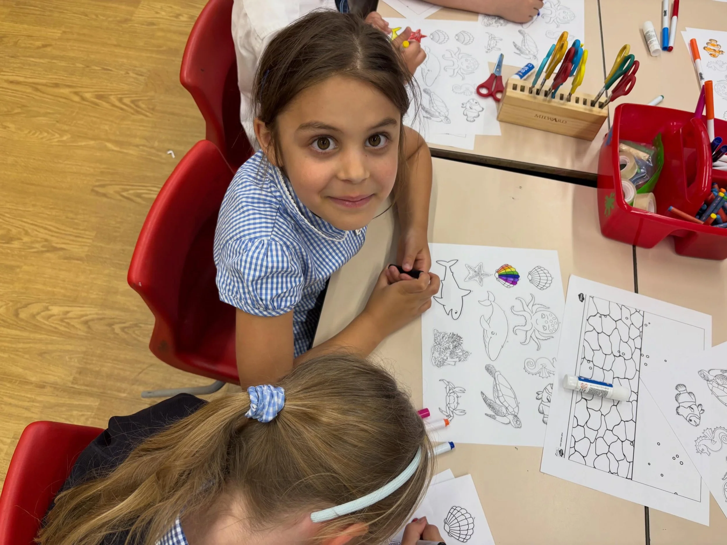 🌊🐠 Ocean Life at ⭐️ St Peter&rsquo;s ⭐️ 

Yesterday, the children enjoyed creating their own sea collages and mini aquariums. Using their cutting skills, they carefully selected and arranged colourful sea creatures and decorations to bring their un