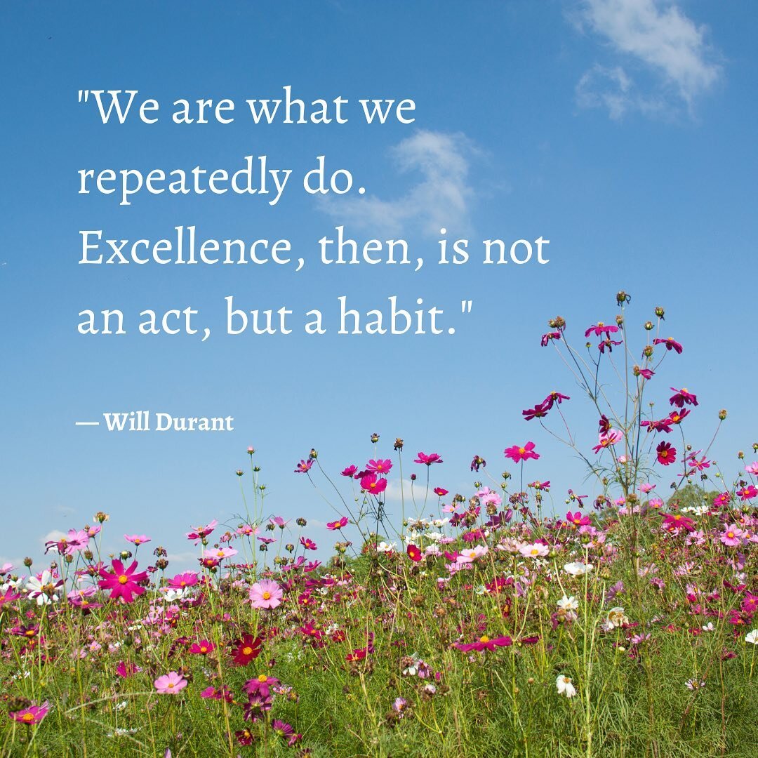 You are what you eat and your life and we are what we repeatedly do. Do your habits reflect the person you want to be? Do you sabotage your efforts to make healthier decisions or do your actions reflect the healthy lifestyle you desire? 
Healthy habi