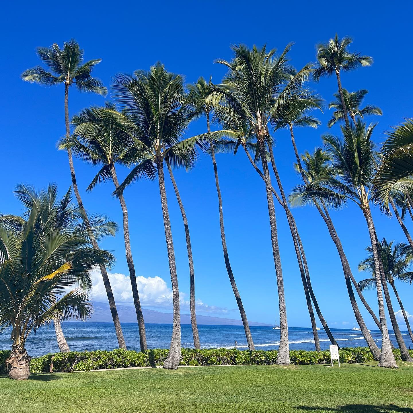 When your mind, body and soul need a break- take it! Whether it&rsquo;s closing your eyes for a few minutes, journaling, taking some deep breaths, or- a vacation- we all need time to unwind and recharge. Resting isn&rsquo;t being &ldquo;lazy&rdquo; -