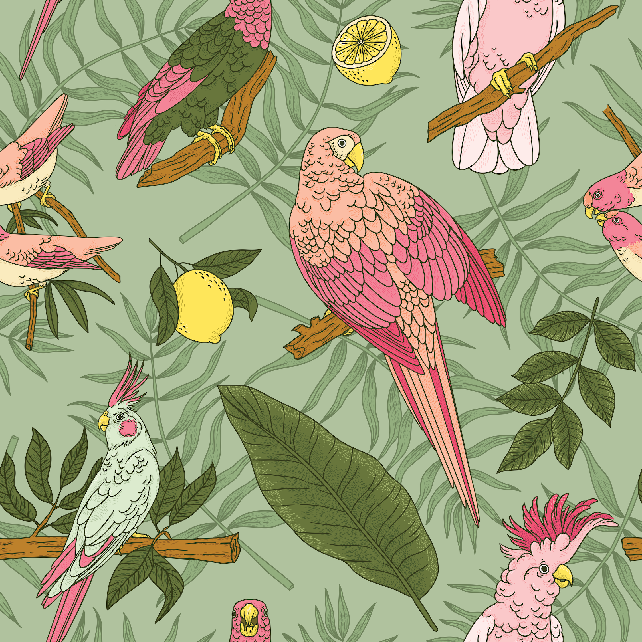 NP_Pattern_Color (1).png