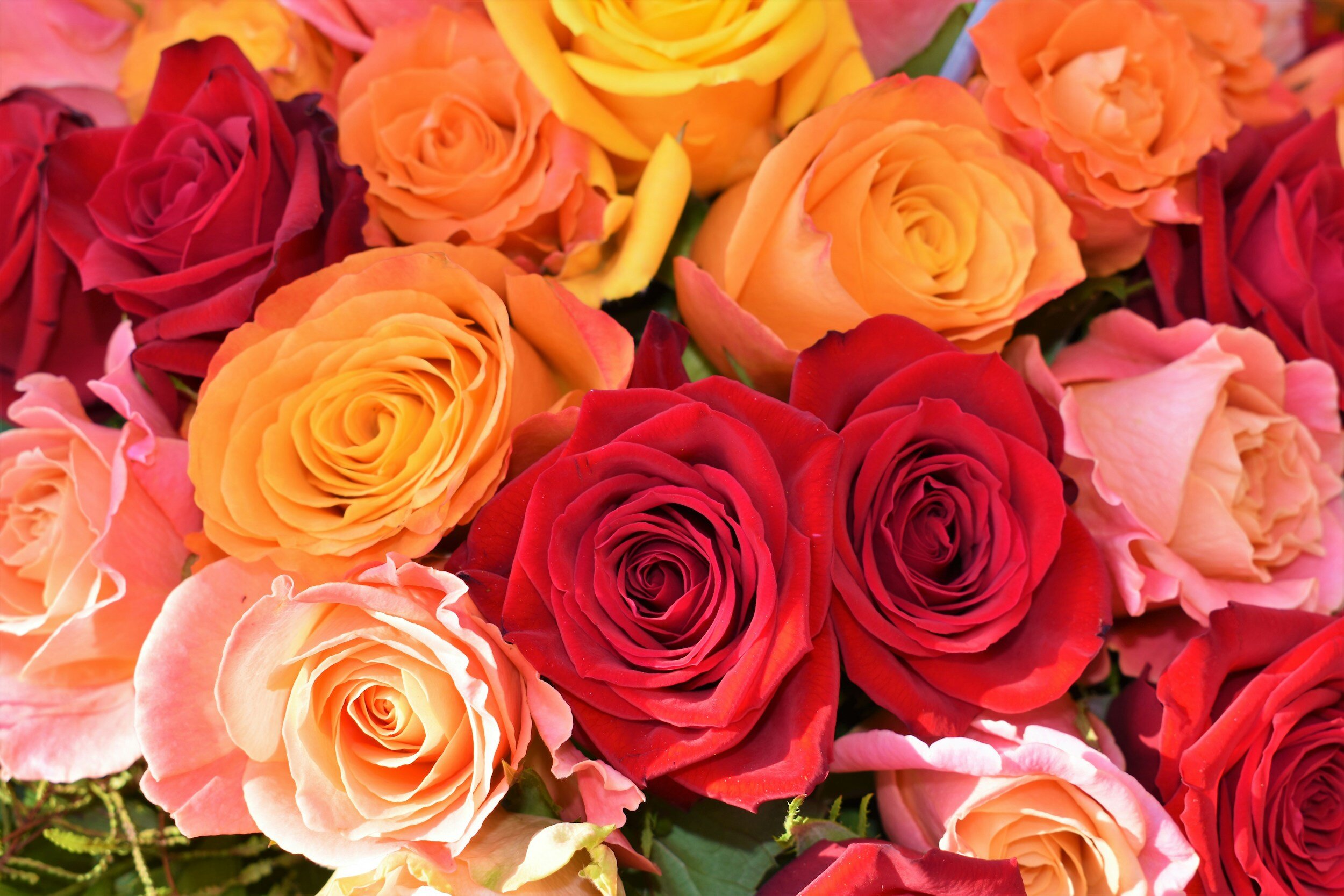 Valentine’s Day Bouquet Class