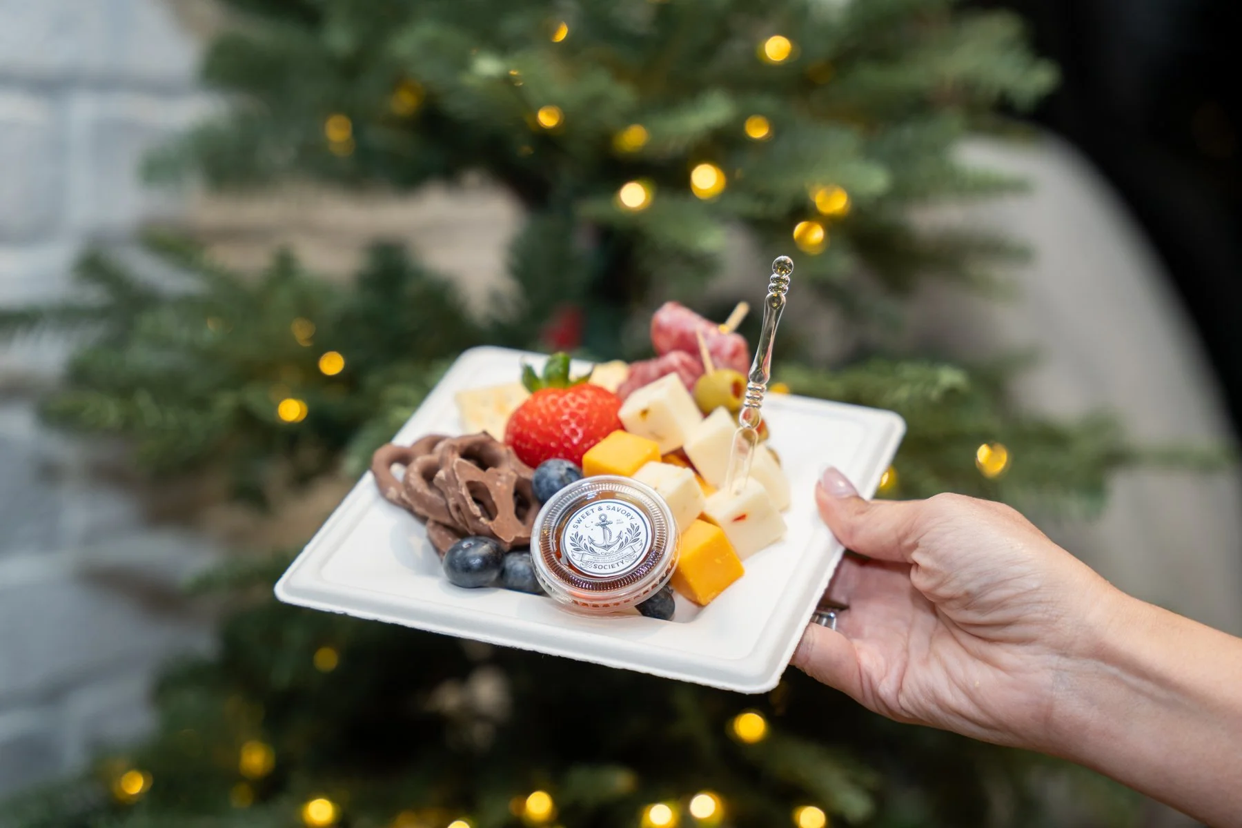 54966986724_91ecf01c77_o (2).jpg