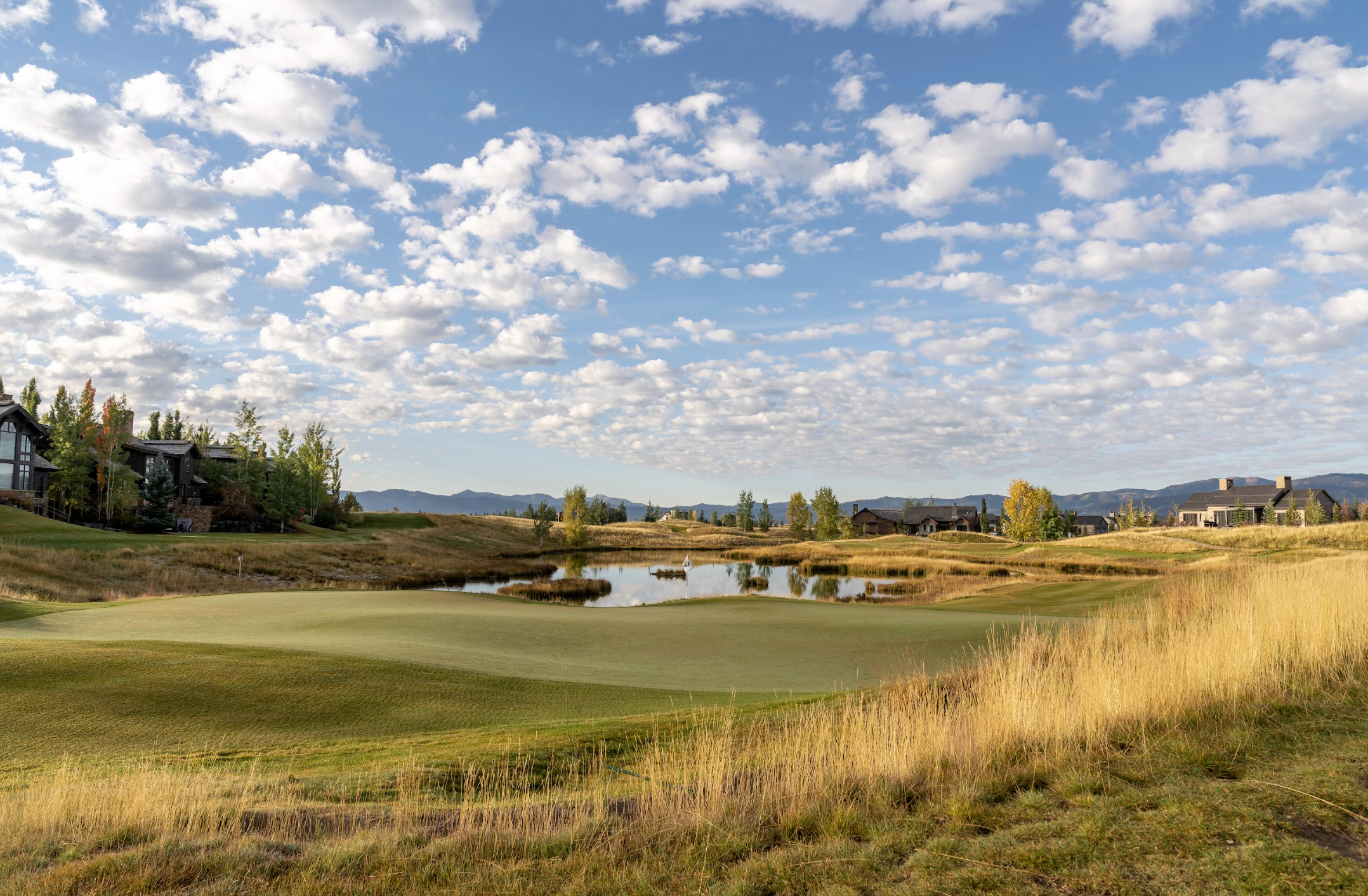 Screenshot 2026-03-26 at 8.04.14 AM.png