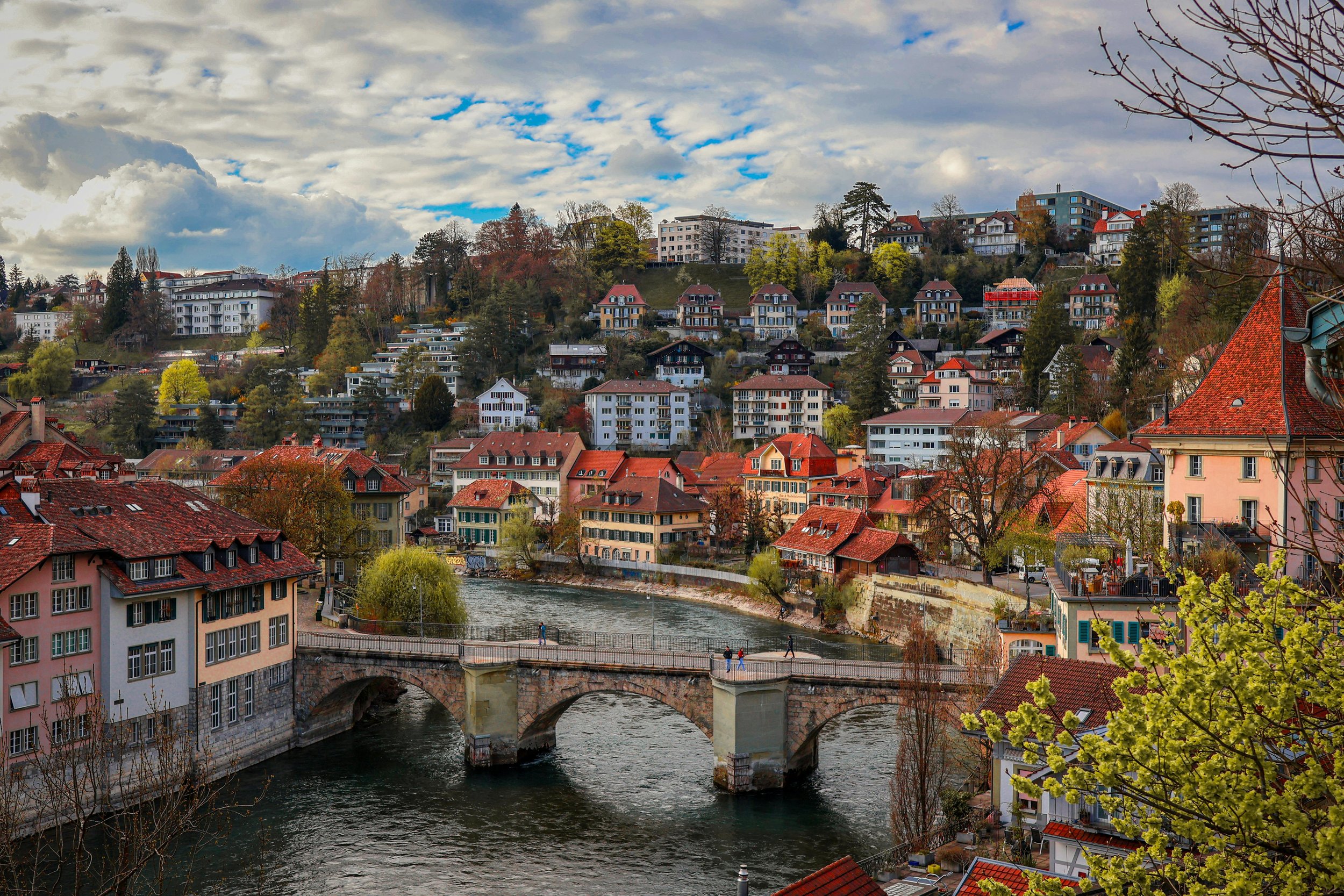 Swiss5 (1).jpg