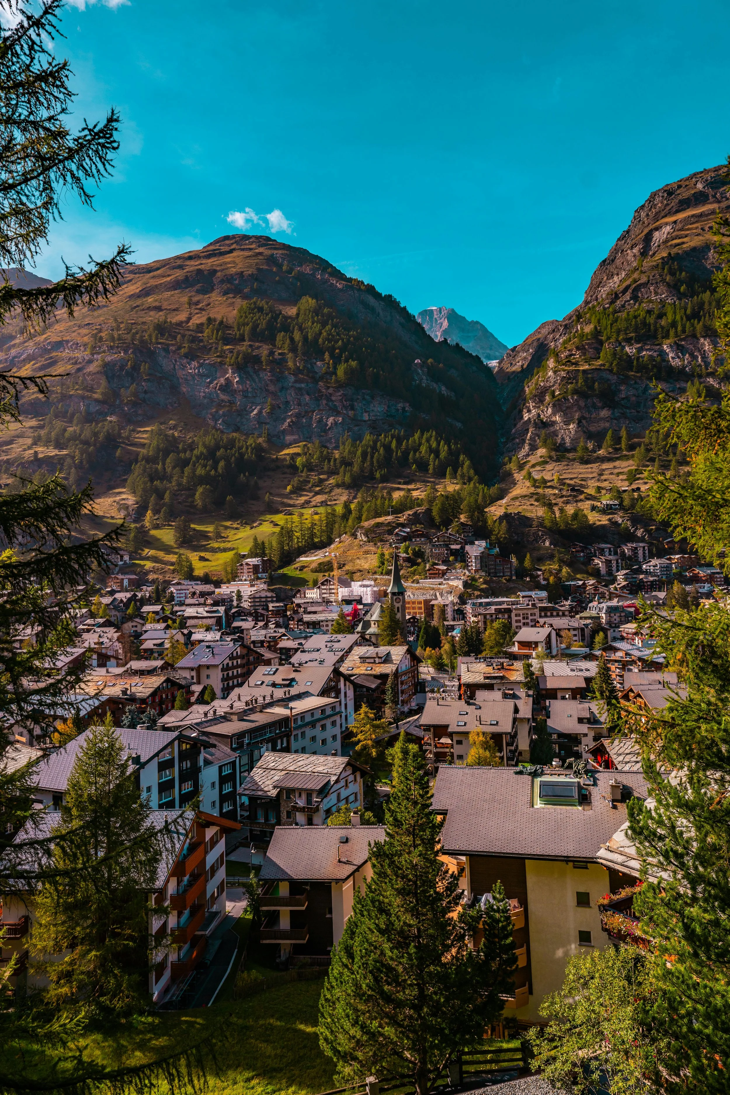 Swiss4 (1).jpg