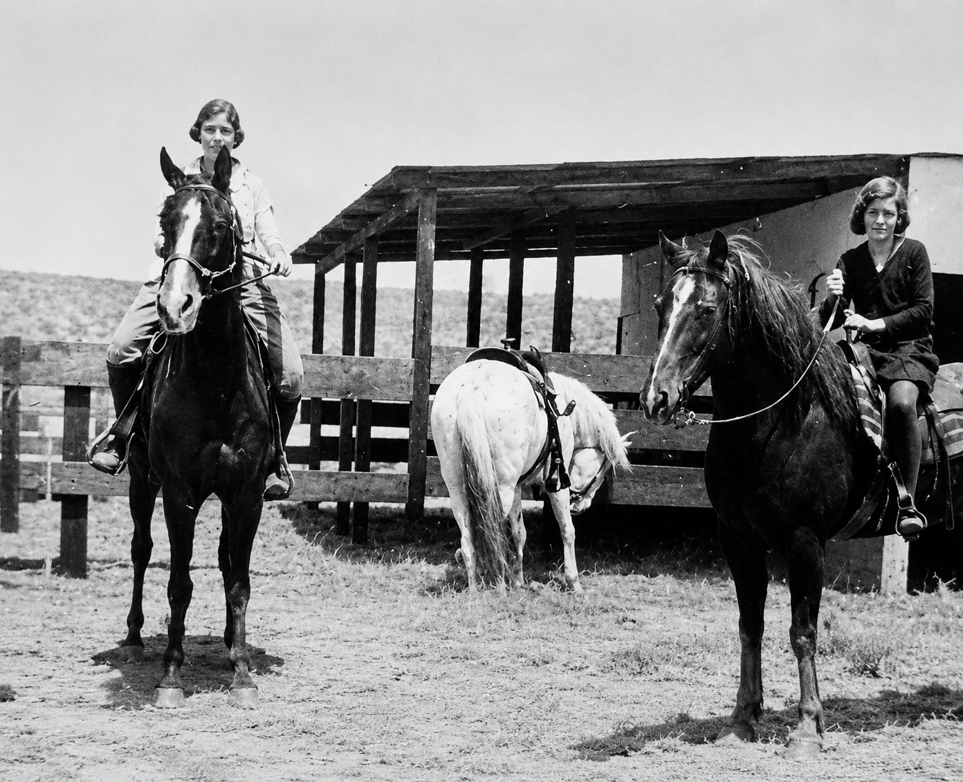 STABLES (1).png
