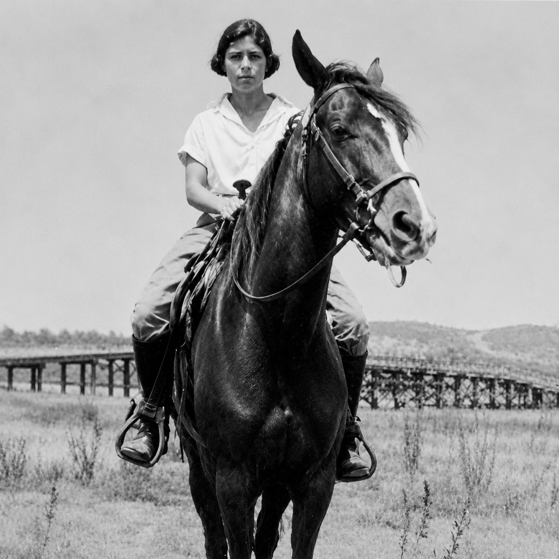 HORSE+AND+RIDER.png