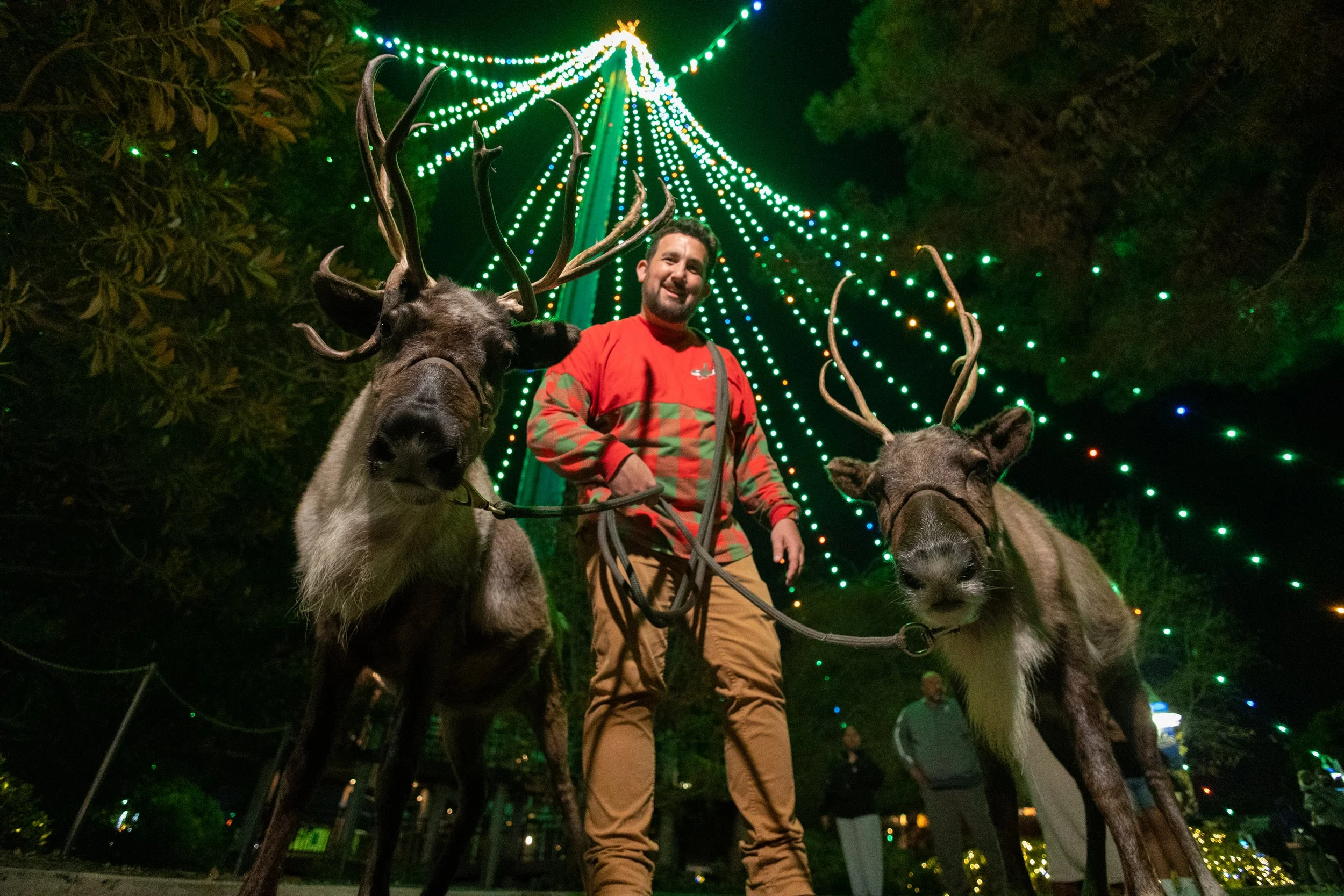 25_SWC_Christmas_Reindeer (18).jpg