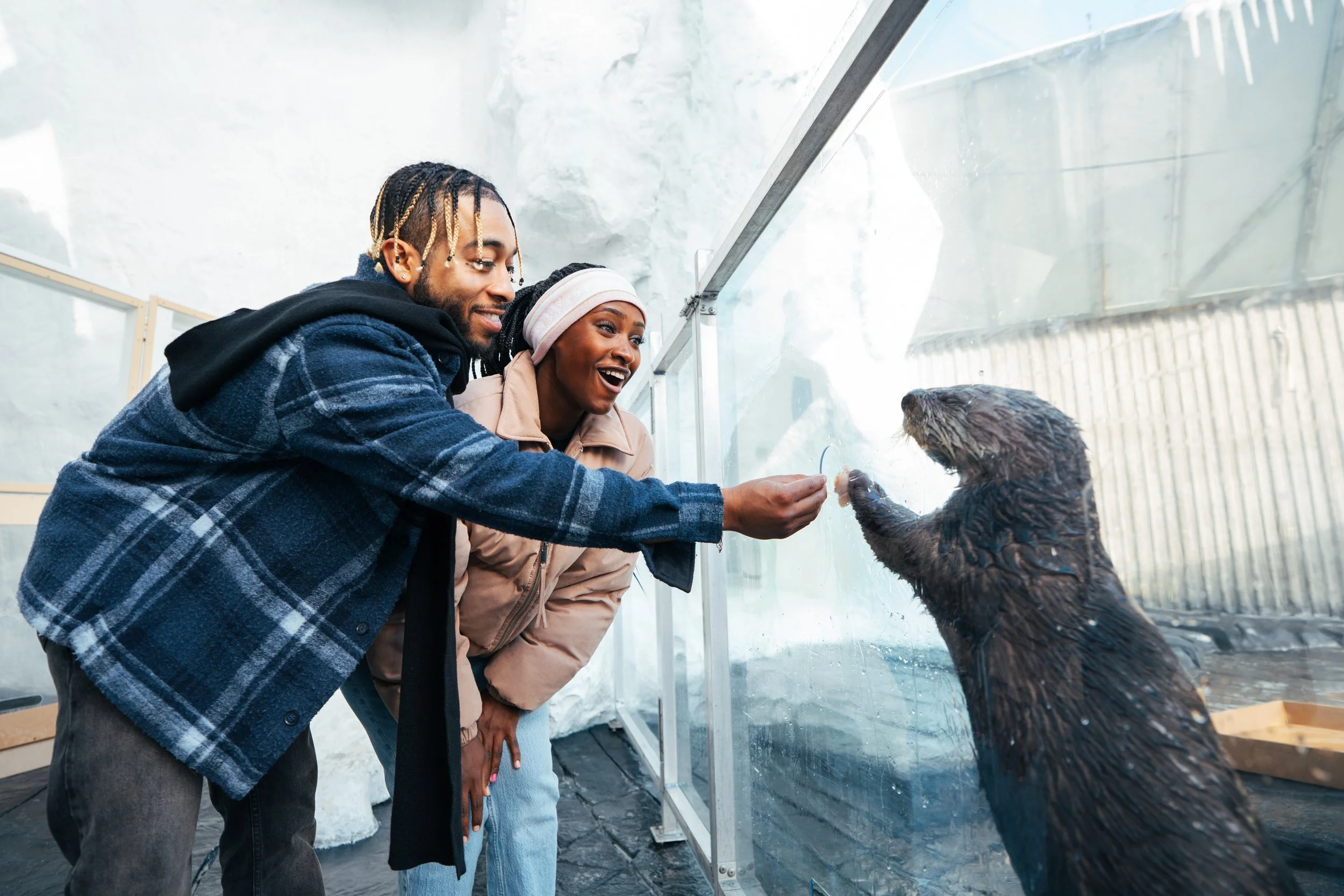 25_SWC_Otter Feeding_Couple-3.jpg