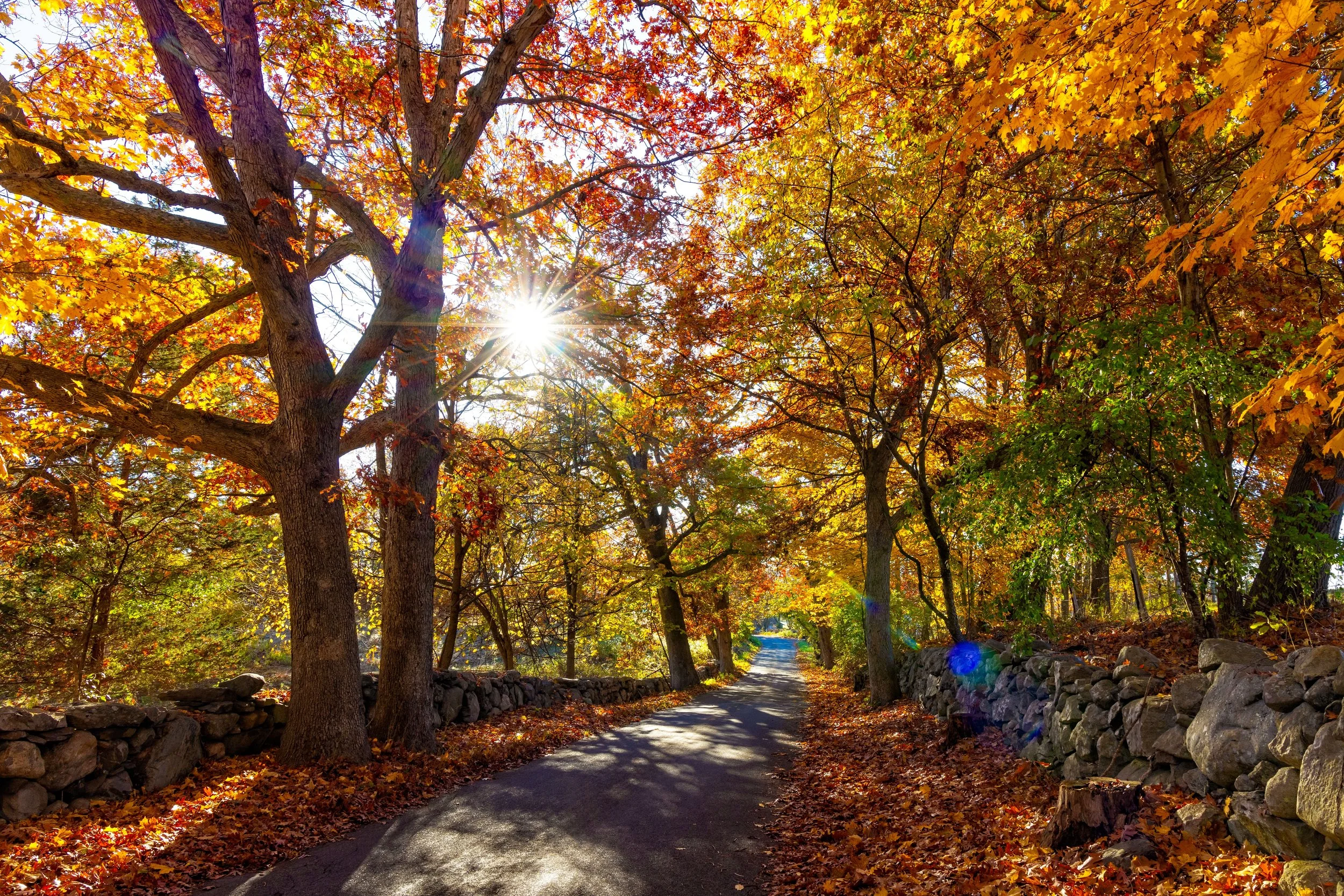 New England1 (1).jpg