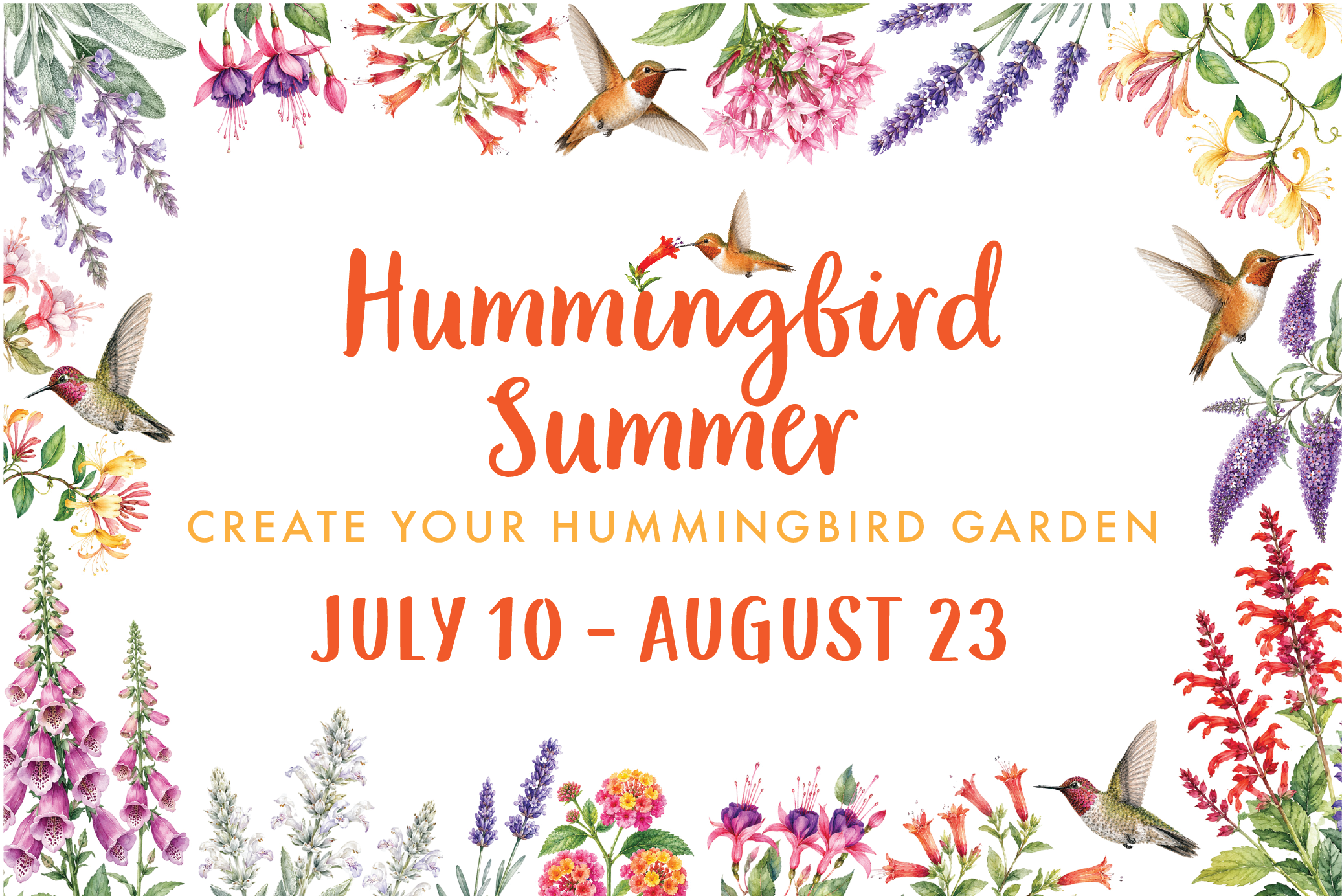 ROGER’S GARDENS INVITES SOUTHERN CALIFORNIA TO EXPERIENCE “HUMMINGBIRD SUMMER”