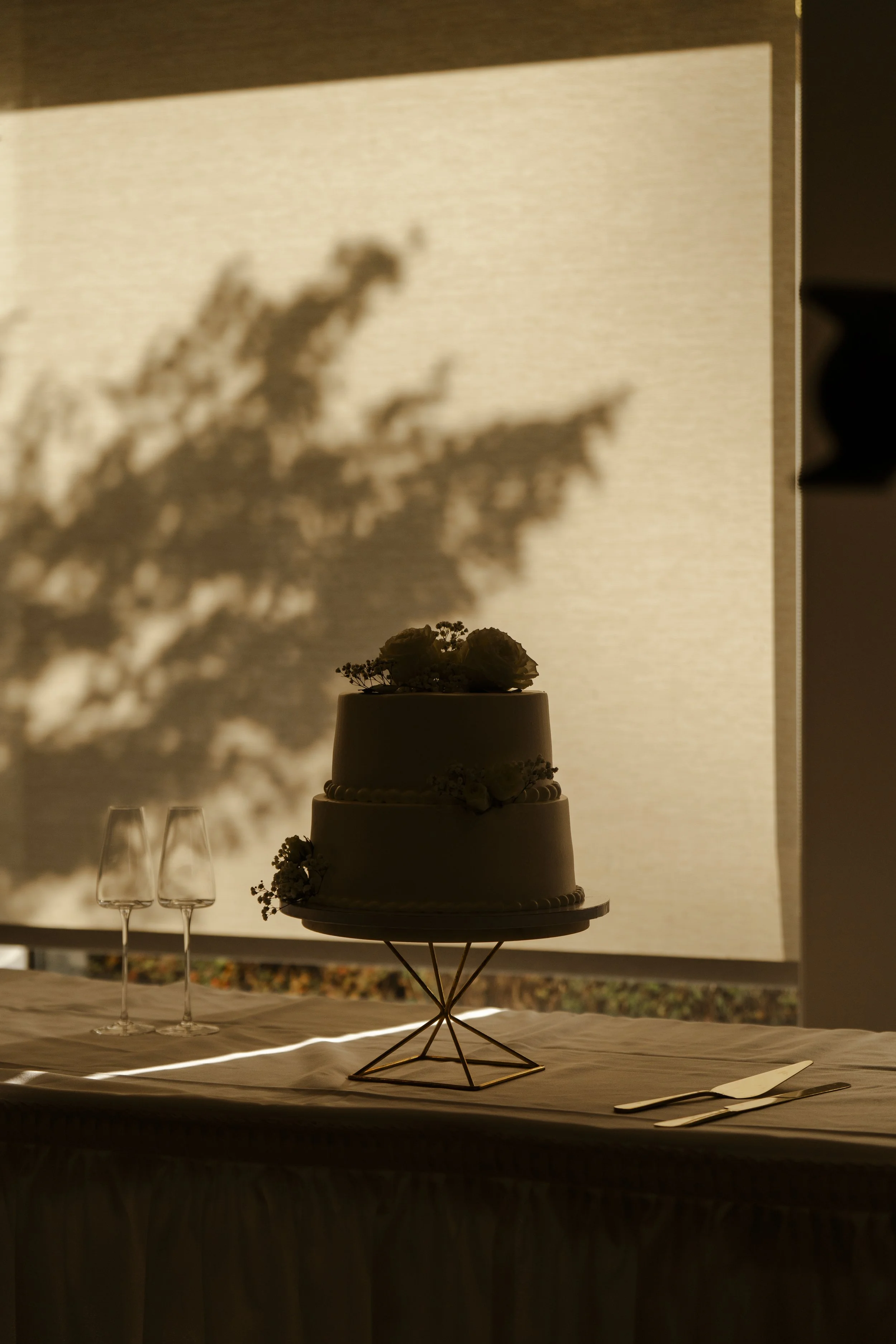 DSC07008.jpg