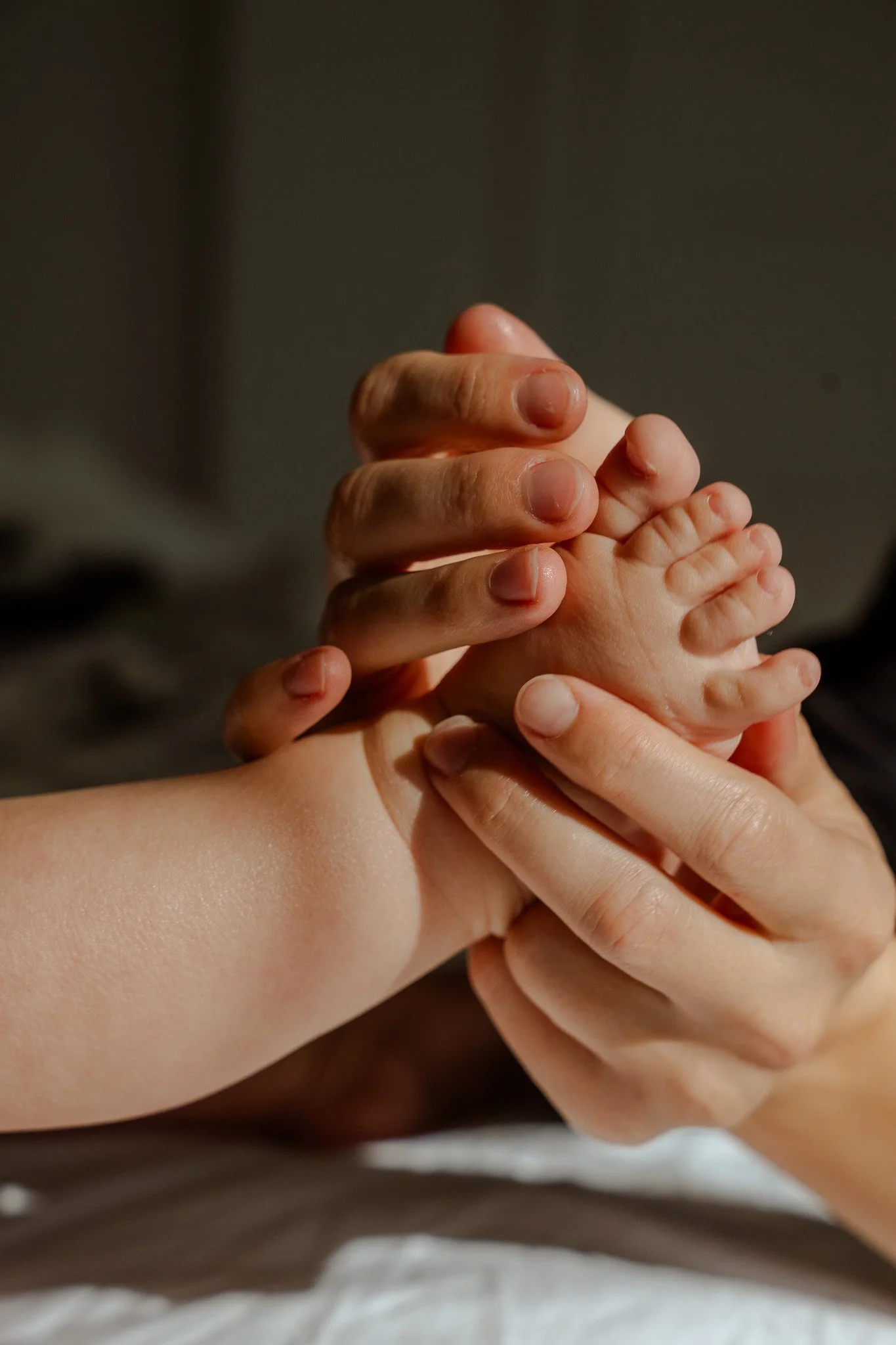 Adult hand holding a baby's tiny hand with sunlight illuminating their fingers.