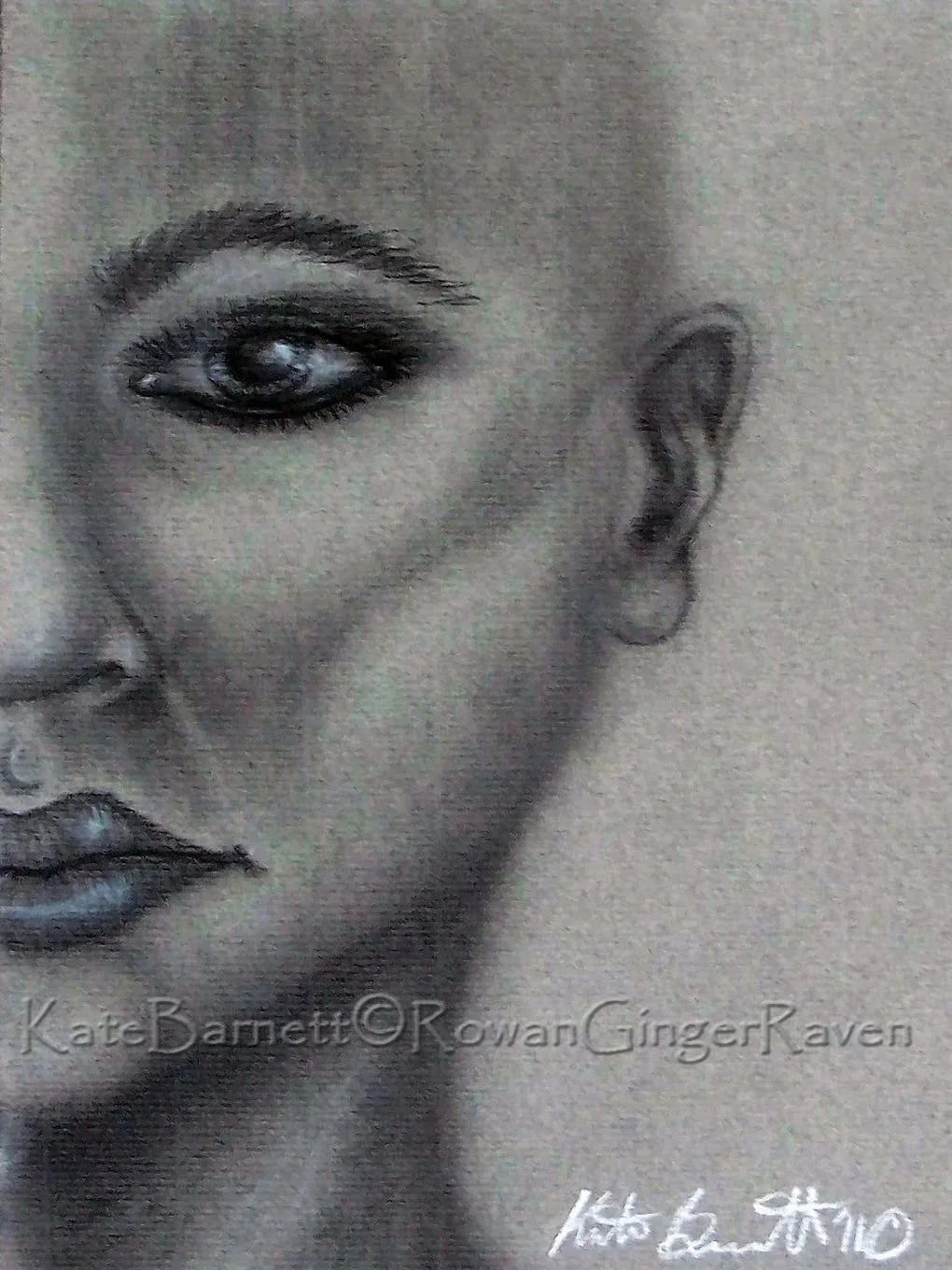 A Lifetime Of Drawing