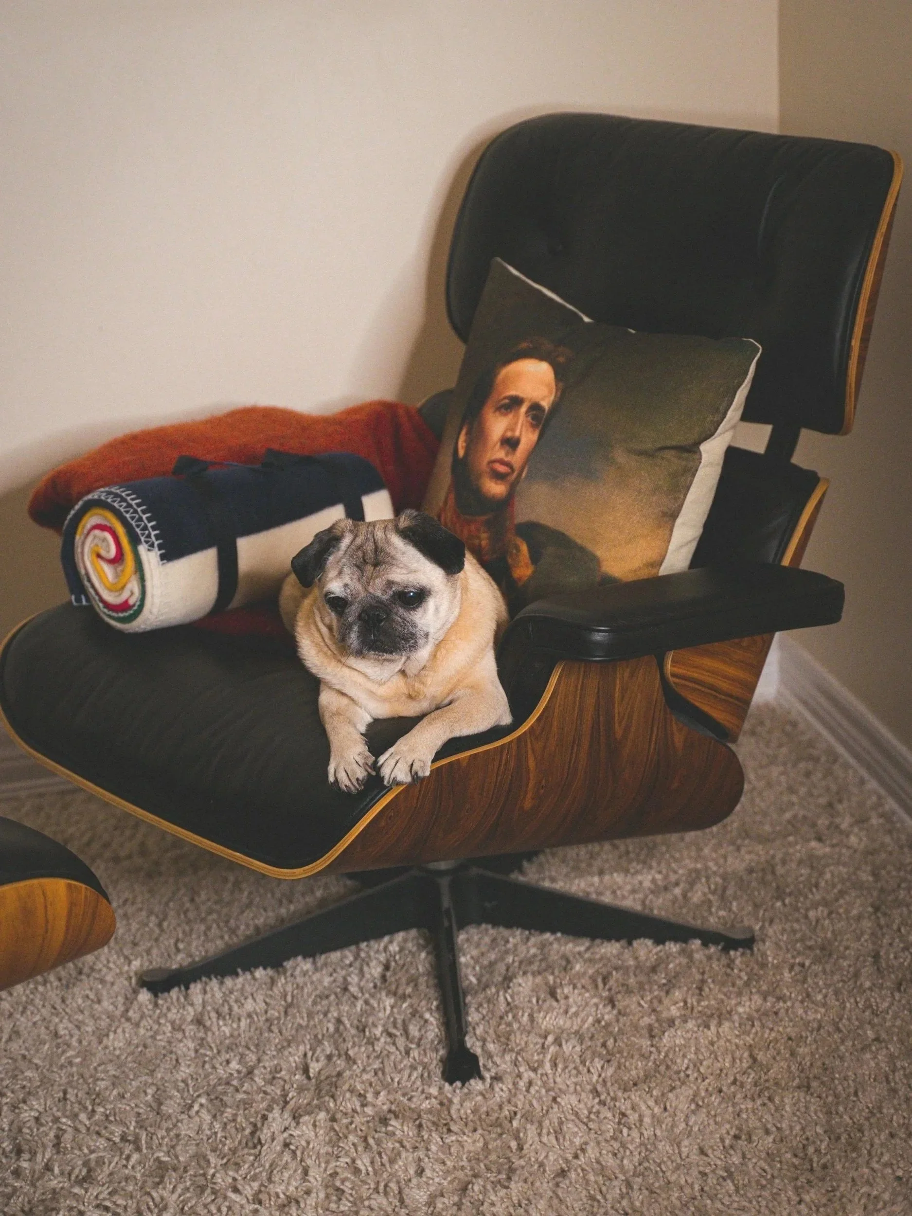  Express Your Heritage And Rebellious Spirit