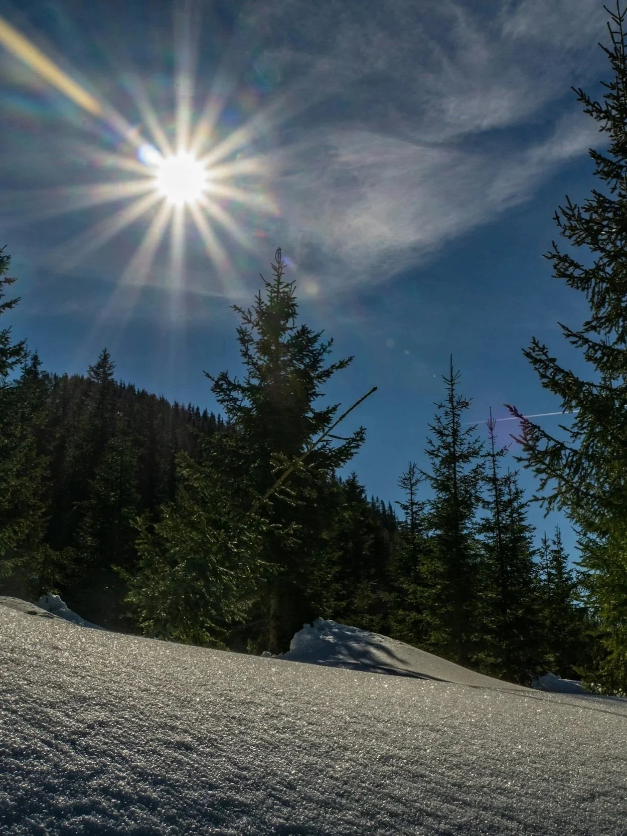 Mid-Winter Cleanse: Preparing Your Home for Spring