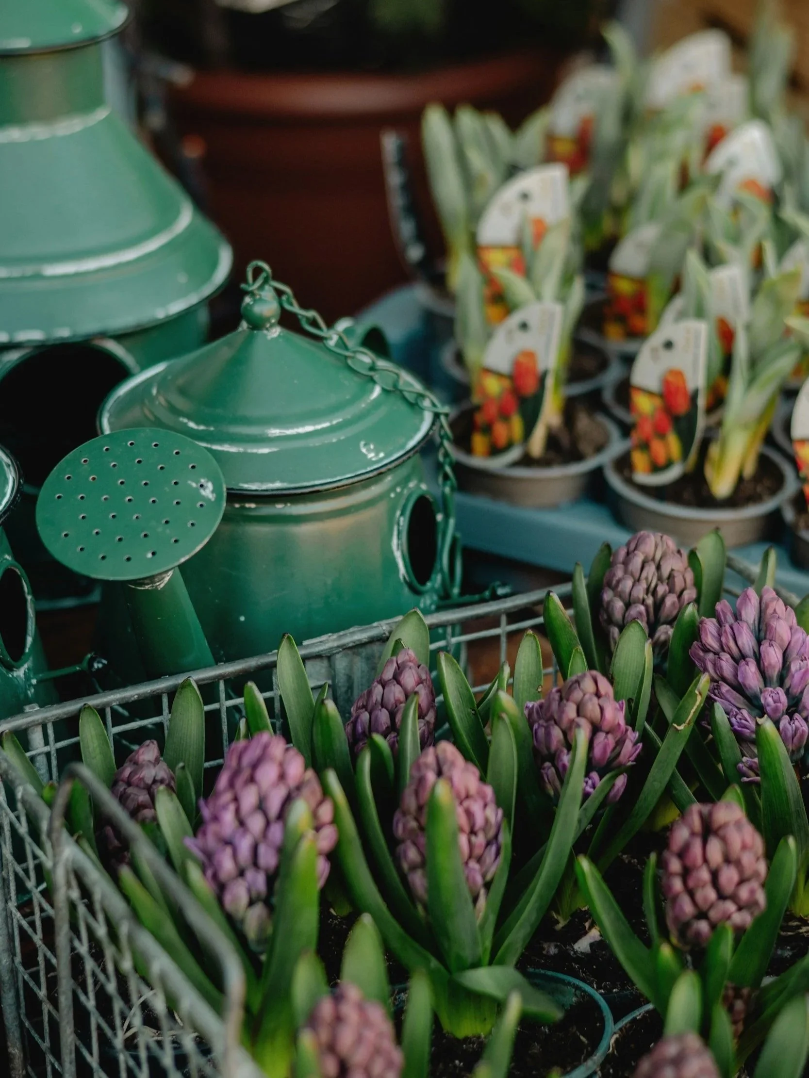 How To Refresh For Spring