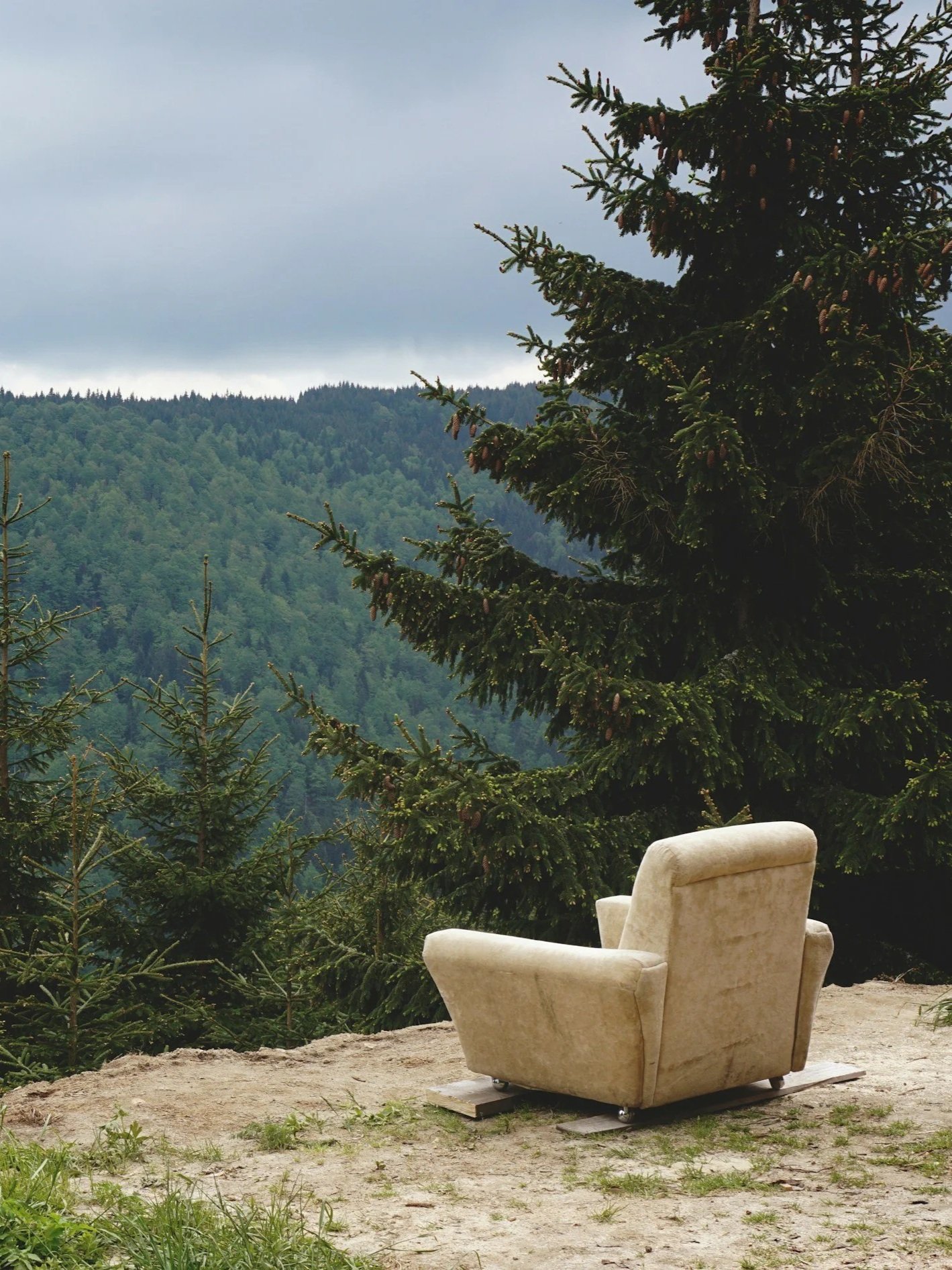 Create Calm And Cultivated Luxury 