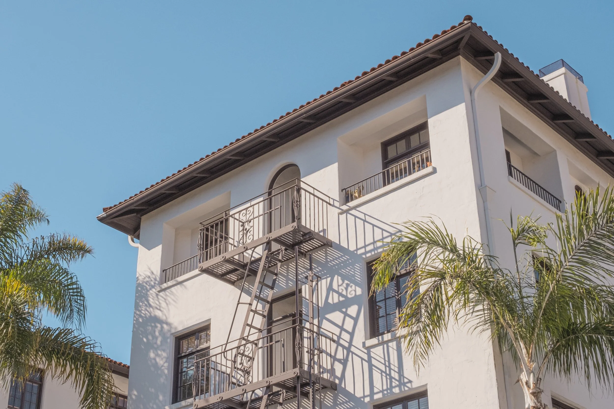 A white multi-story building with black window frames and small balconies, surrounded by tall palm trees, under a clear blue sky.