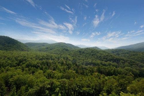 MOUNTAINS.jpeg