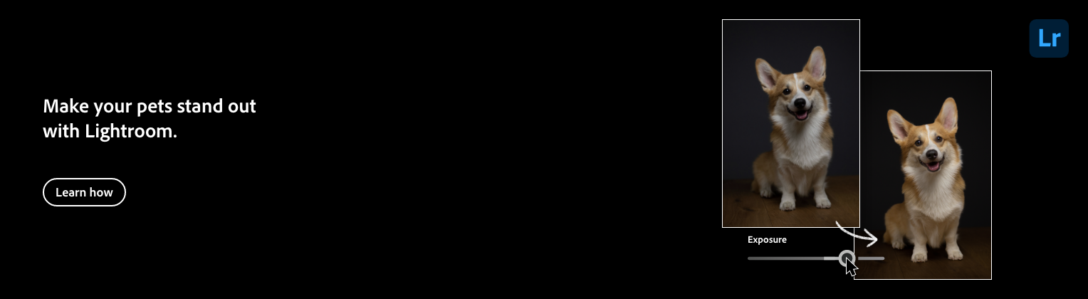 A Lightroom interface showing a photo of a dog with a slider to adjust exposure, demonstrating how exposure changes affect the image.