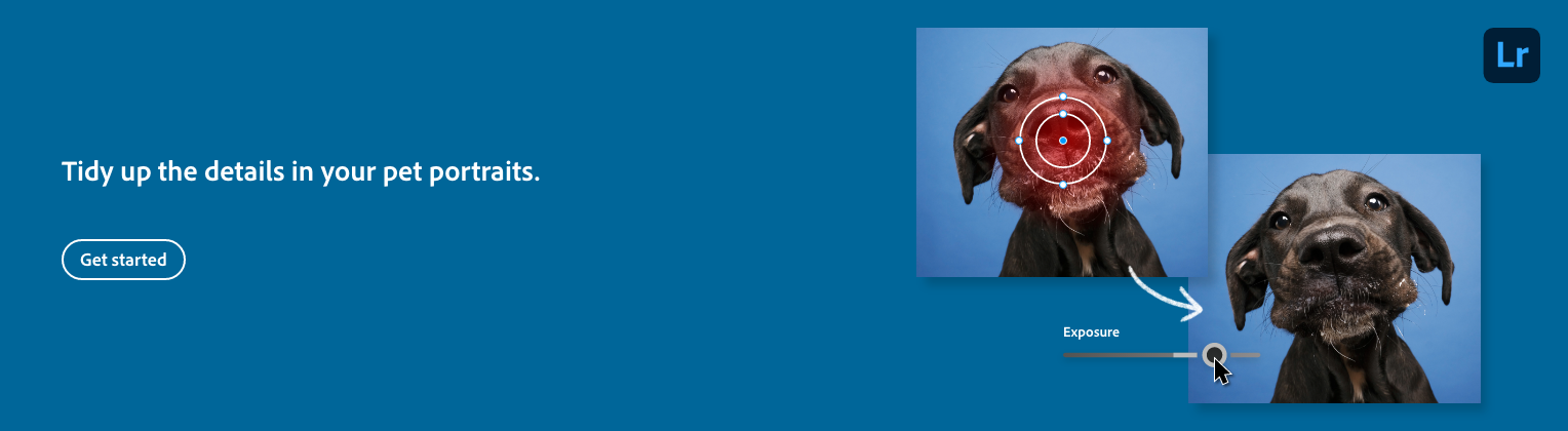 A graphic illustrating pet portrait editing, showing a cute black dog with a brown face, one image with a red target on its face, and an adjustment slider labeled Exposure on a blue background.