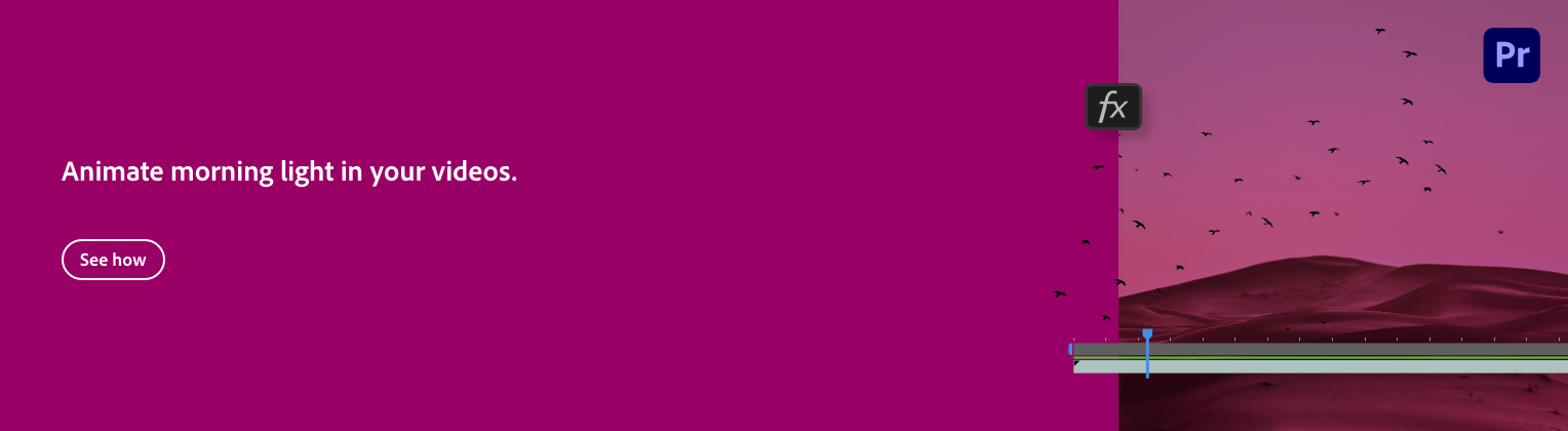 A promotional webpage for animation software showing a purple background, text that says 'Animate morning light in your videos,' a 'See how' button, and a background image of a desert scene with hills and birds at sunset, with software interface icon