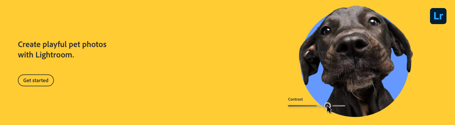 A website page with a yellow background promoting Lightroom pet photo editing, showing a close-up of a black dog's face in a circular frame with a contrast adjustment slider.