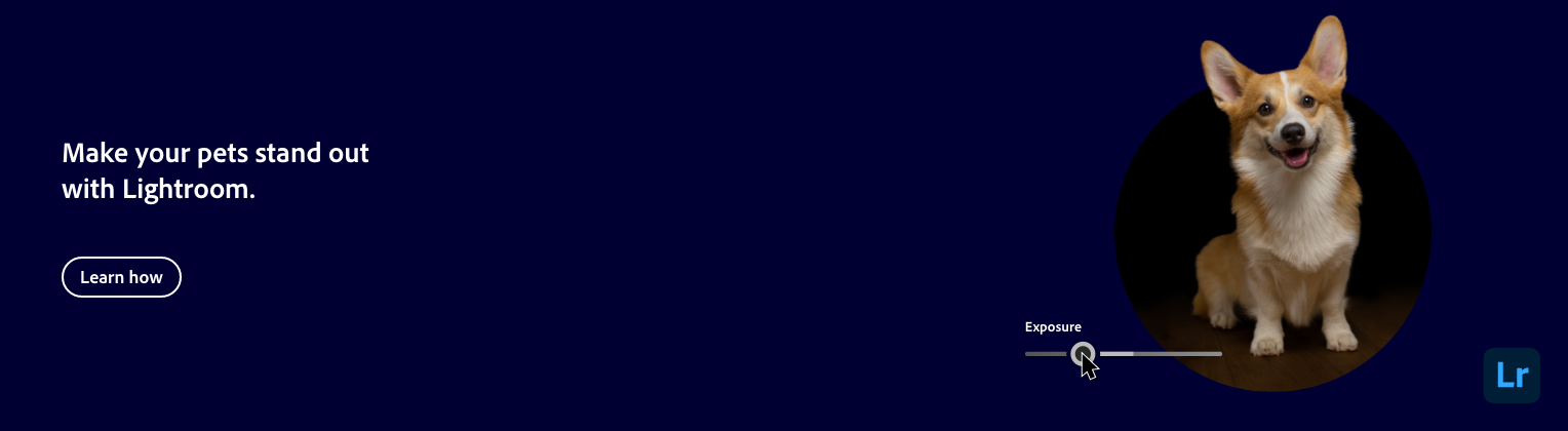 An advertisement for Lightroom showing a photo of a smiling Corgi dog with raised ears inside a circular frame. The background is dark blue, and there is white text that reads "Make your pets stand out with Lightroom" with a "Learn how" button below.