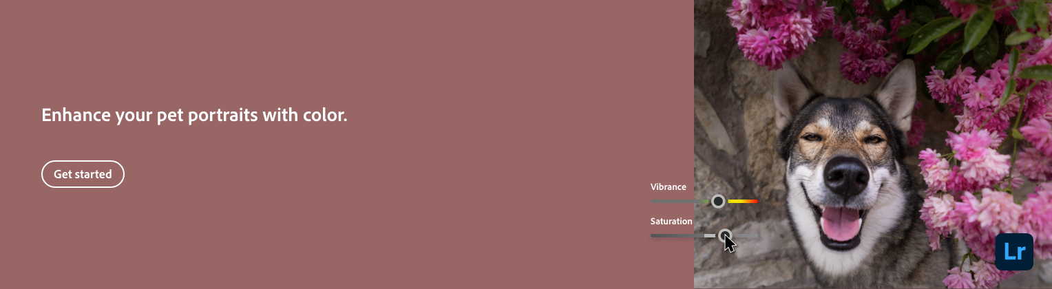 A happy dog with a wide smile surrounded by pink flowers, with editing tools for vibrance and saturation on the right side.