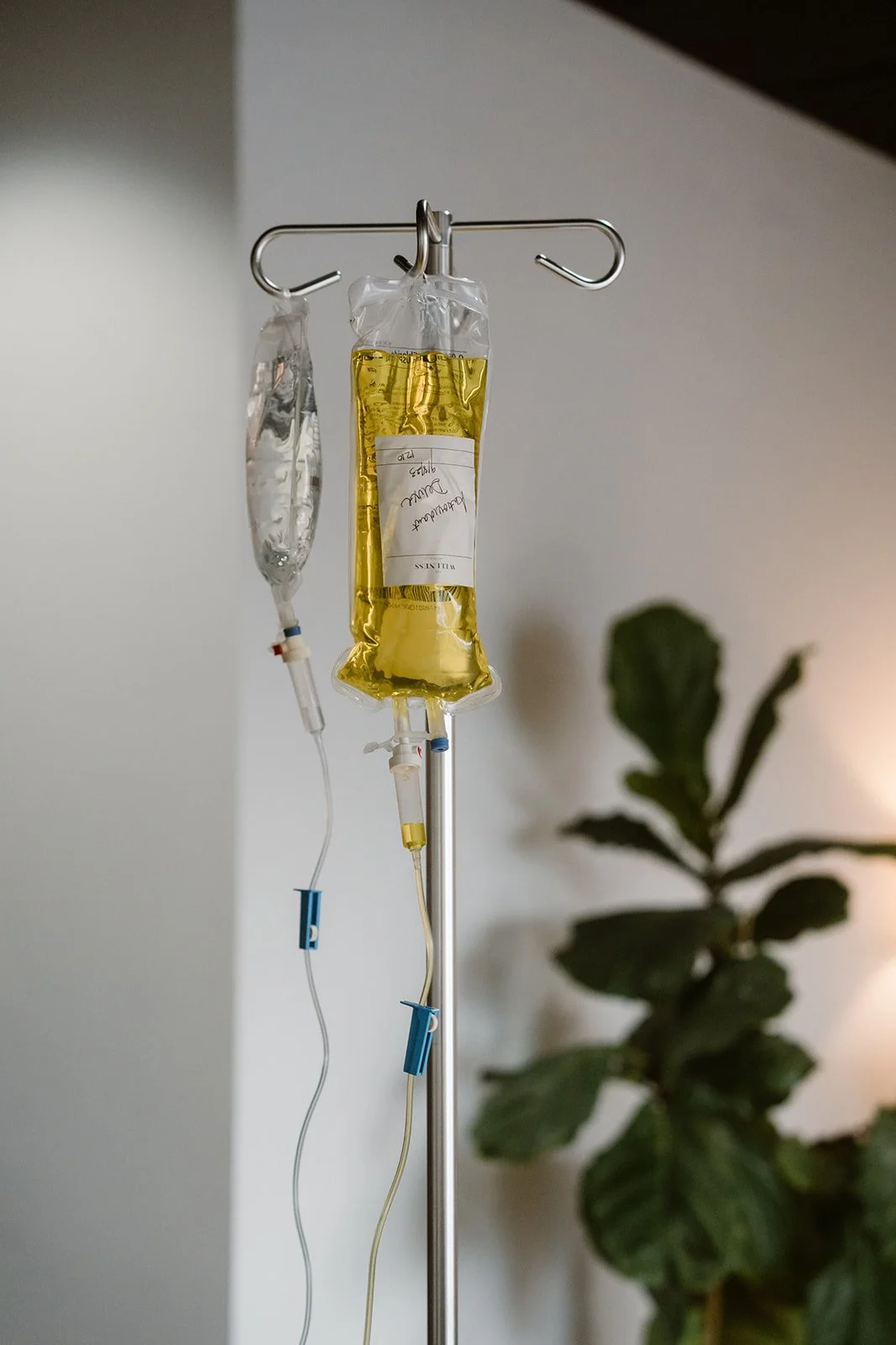 Why NAD+ IV versus orally?